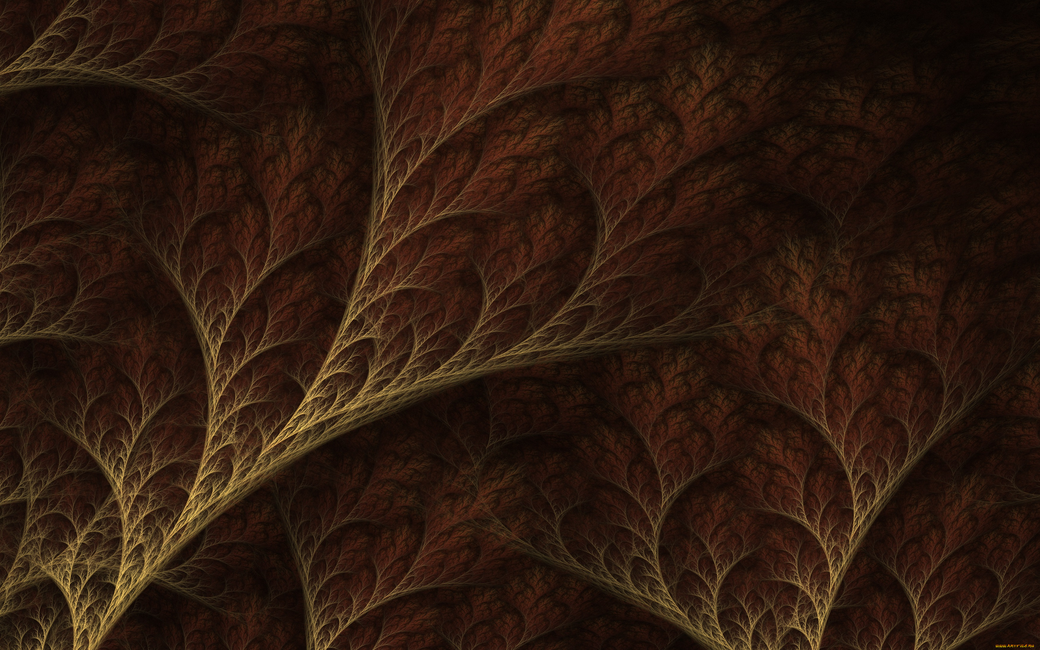 3д, графика, фракталы, , fractal, узор, цвета, фон