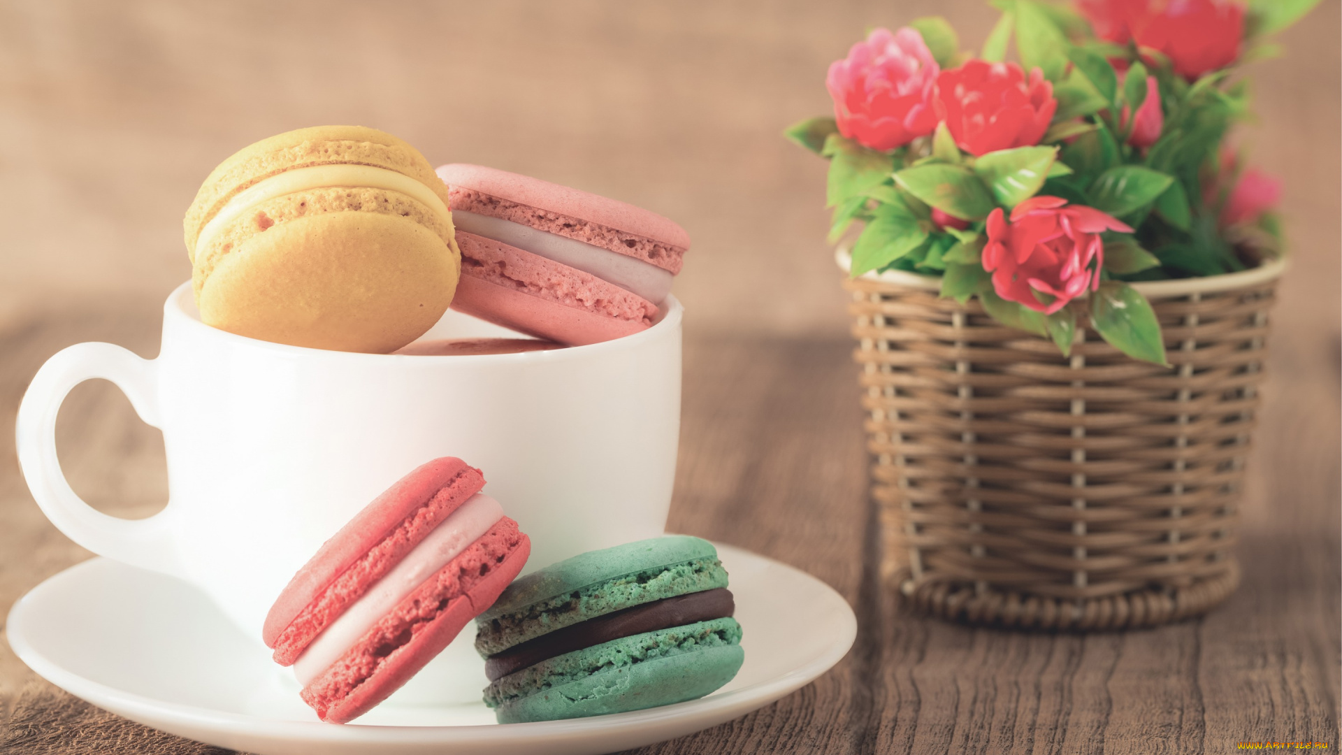 еда, макаруны, печенье, almond, macaron, sweet, dessert, cookies, кофе, макарун, десерт, cup, flowers, colorful, coffee