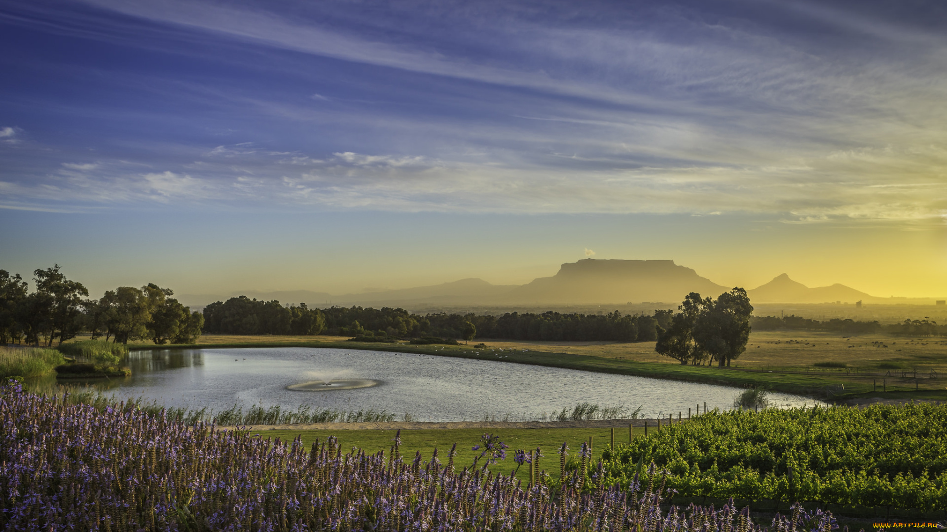 природа, реки, озера, рассвет