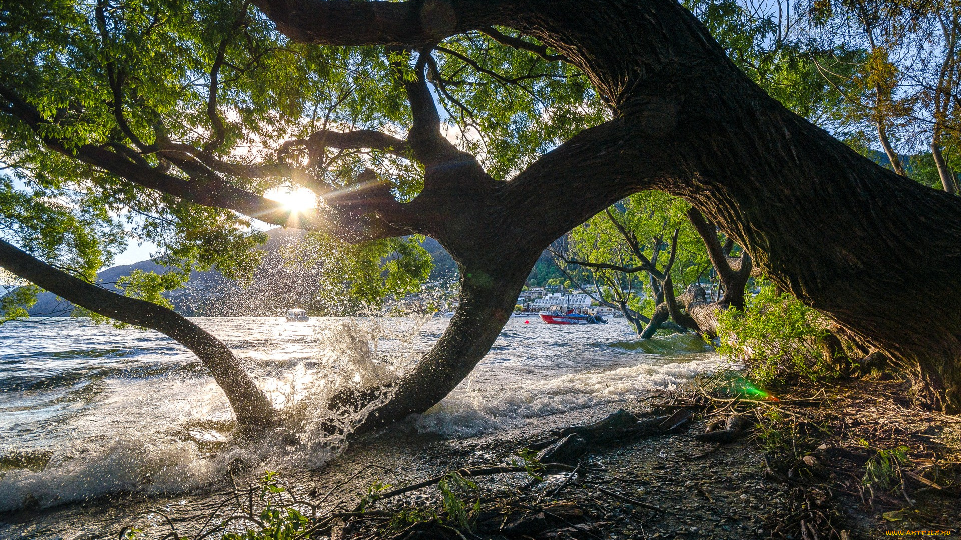 природа, восходы, закаты, дерево, вода, новая, зеландия, катер, закат, небо, горы, озеро, new, zealand