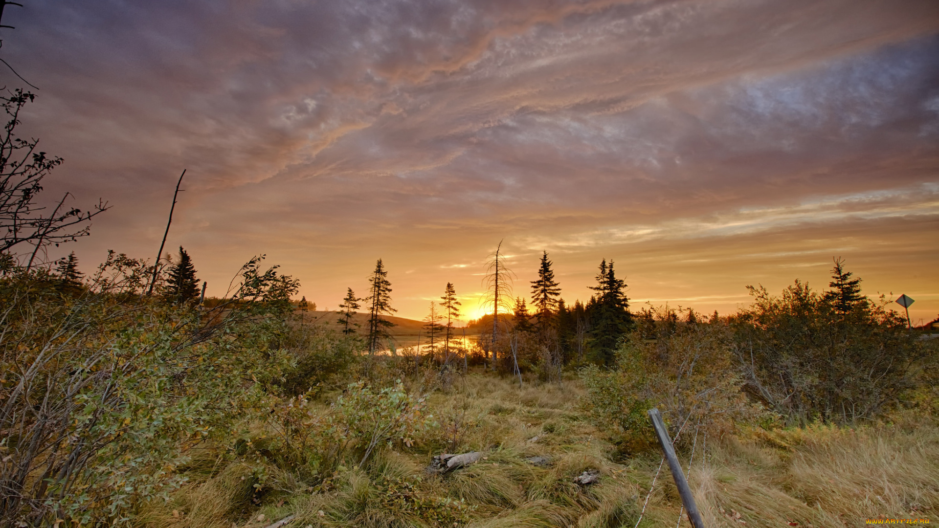 природа, восходы, закаты, рассвет