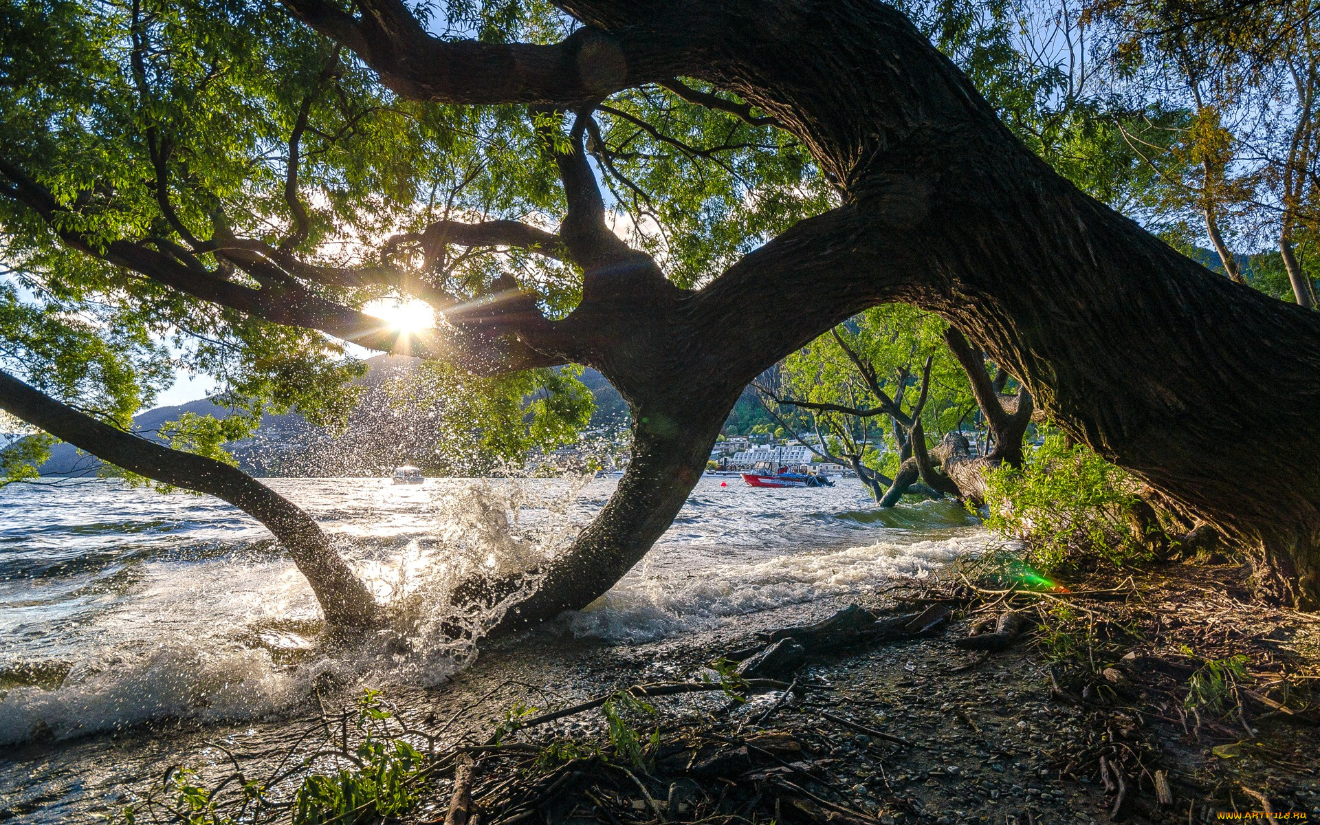 природа, восходы, закаты, дерево, вода, новая, зеландия, катер, закат, небо, горы, озеро, new, zealand