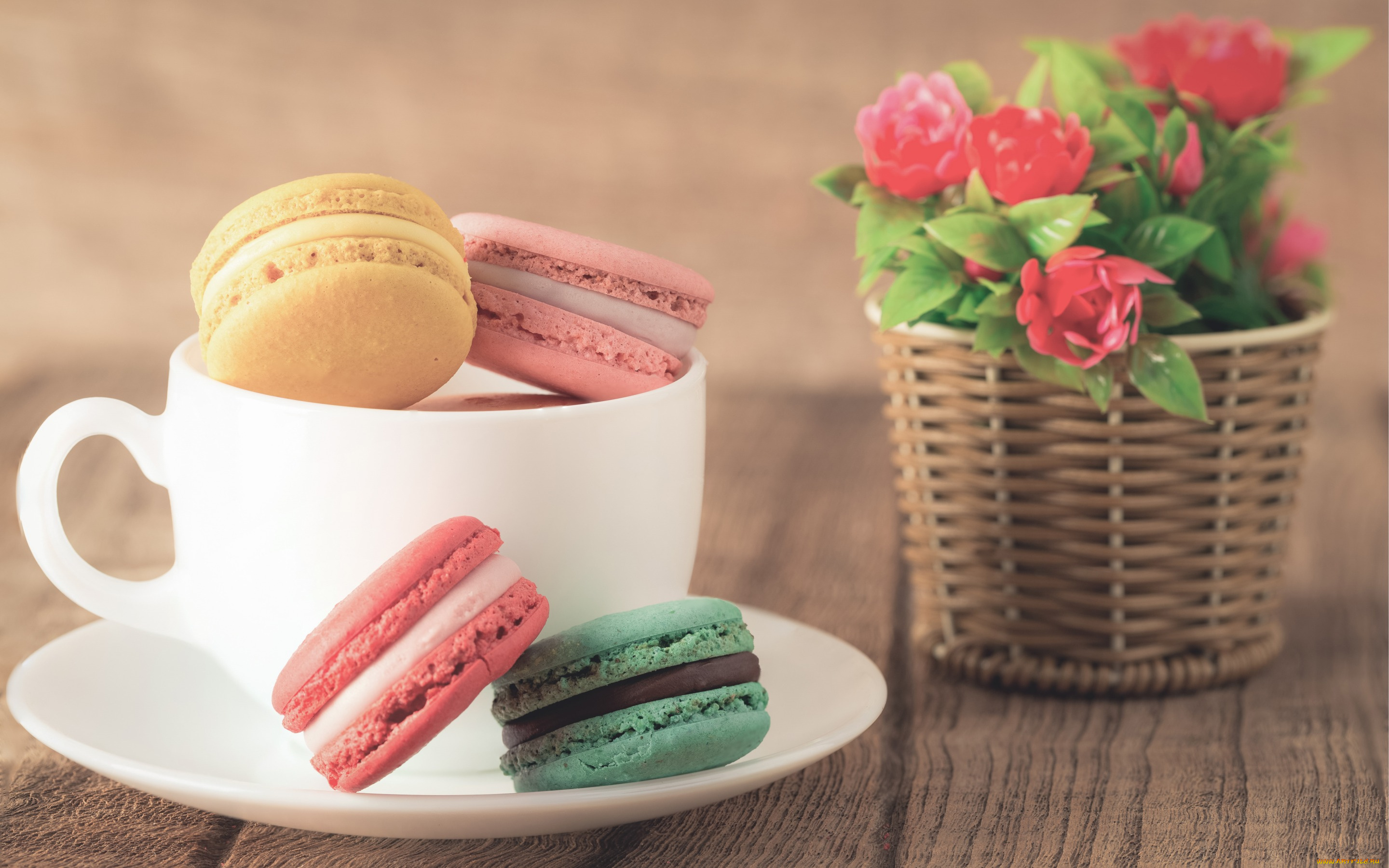 еда, макаруны, печенье, almond, macaron, sweet, dessert, cookies, кофе, макарун, десерт, cup, flowers, colorful, coffee