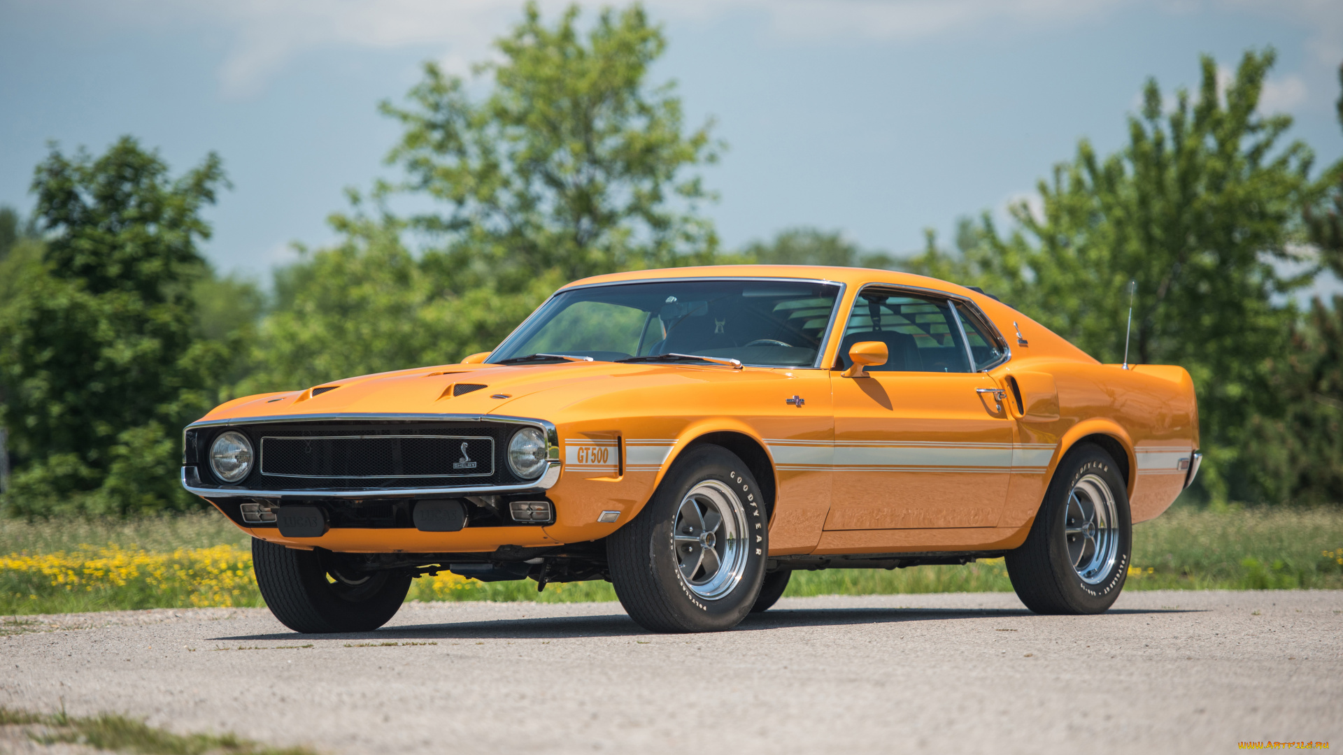 автомобили, mustang