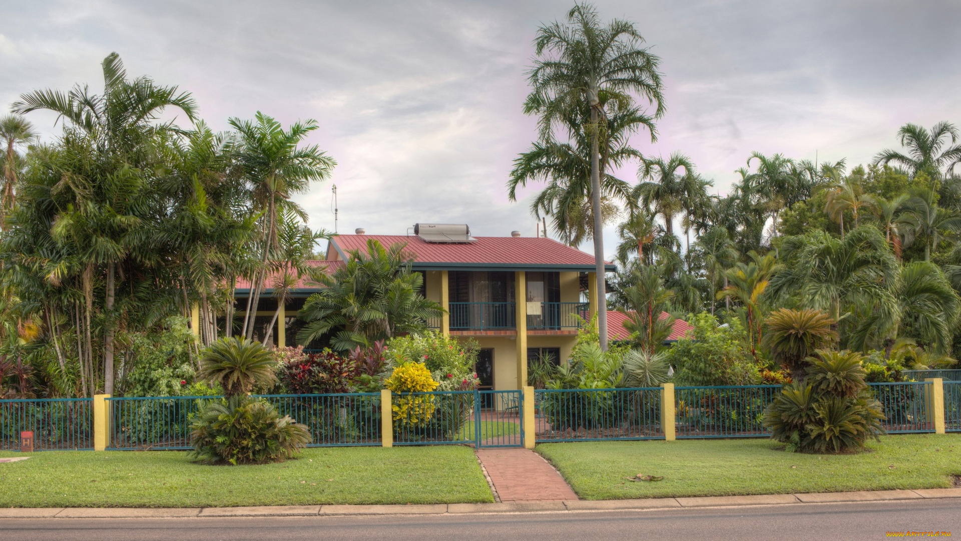 австралия, города, -, здания, , дома, пальмы, забор, дорога