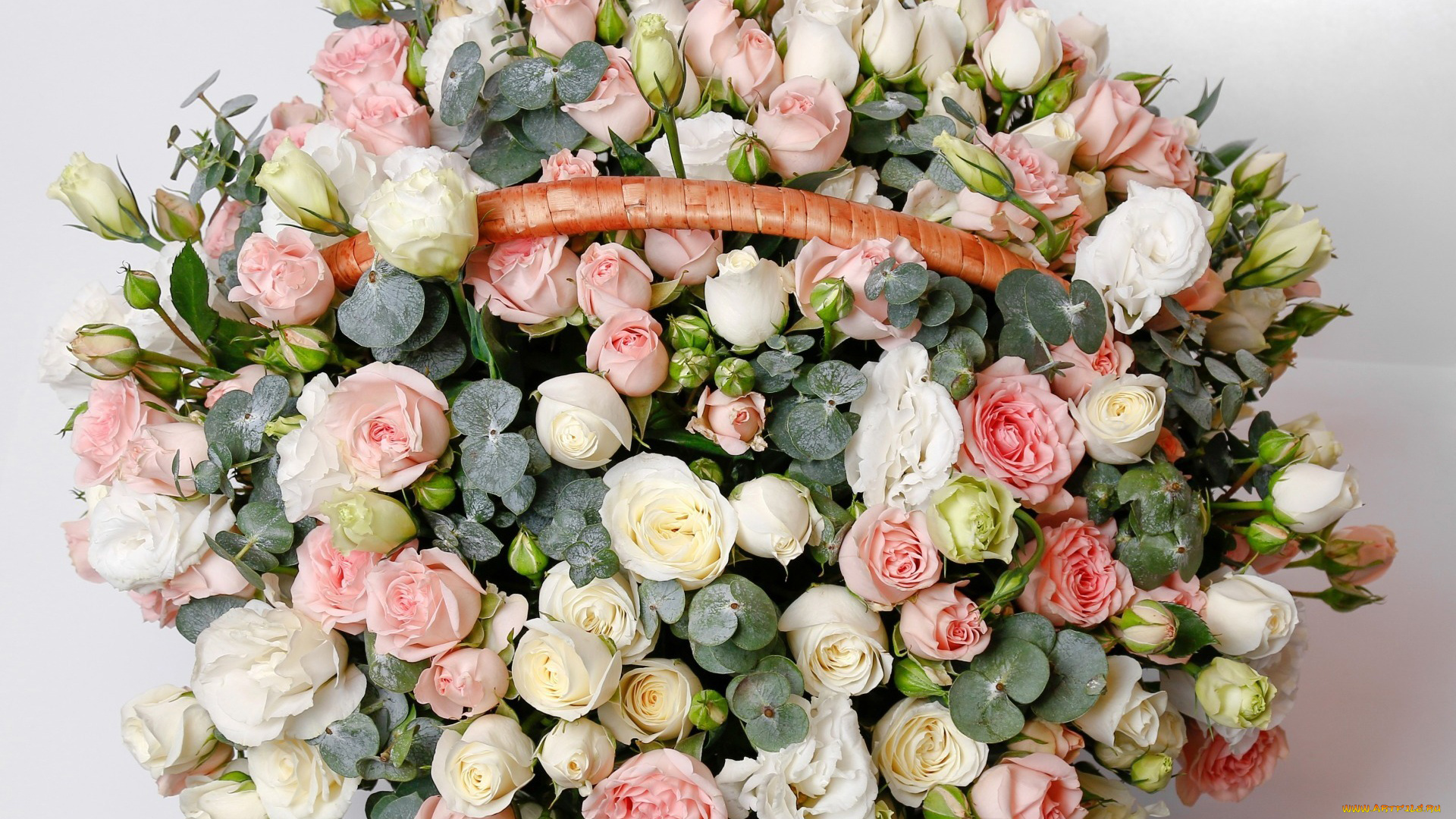 цветы, розы, корзинка, бутоны, много