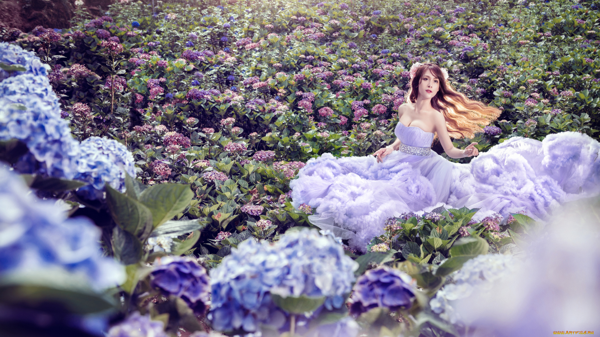 девушки, -unsort, , азиатки, цветы, азиатка, девушка, гортензия