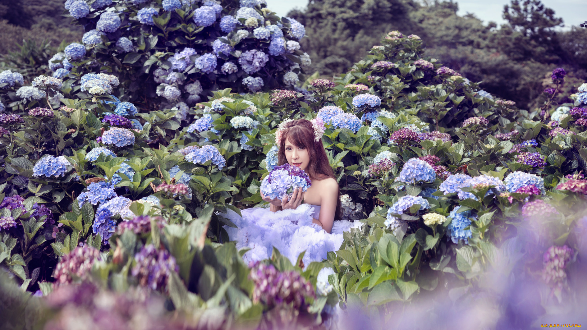 девушки, -unsort, , азиатки, девушка, цветы, гортенизия, фотоссесия