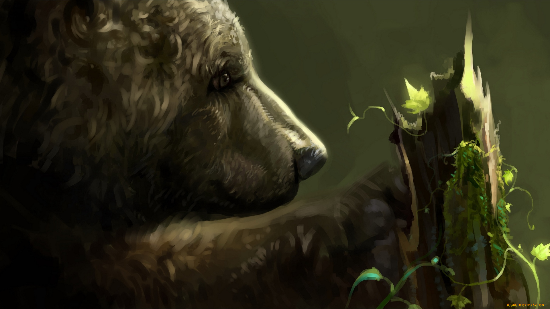 рисованное, животные, , медведи, растение, анфас