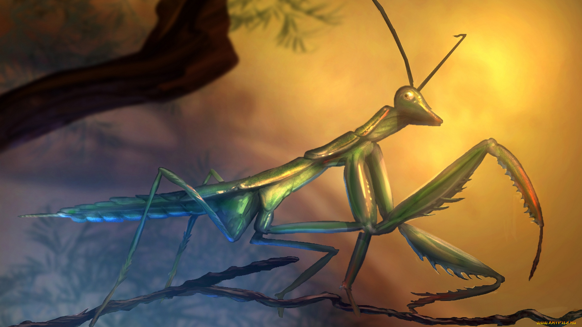 рисованное, животные, , насекомые, ветка, богомол