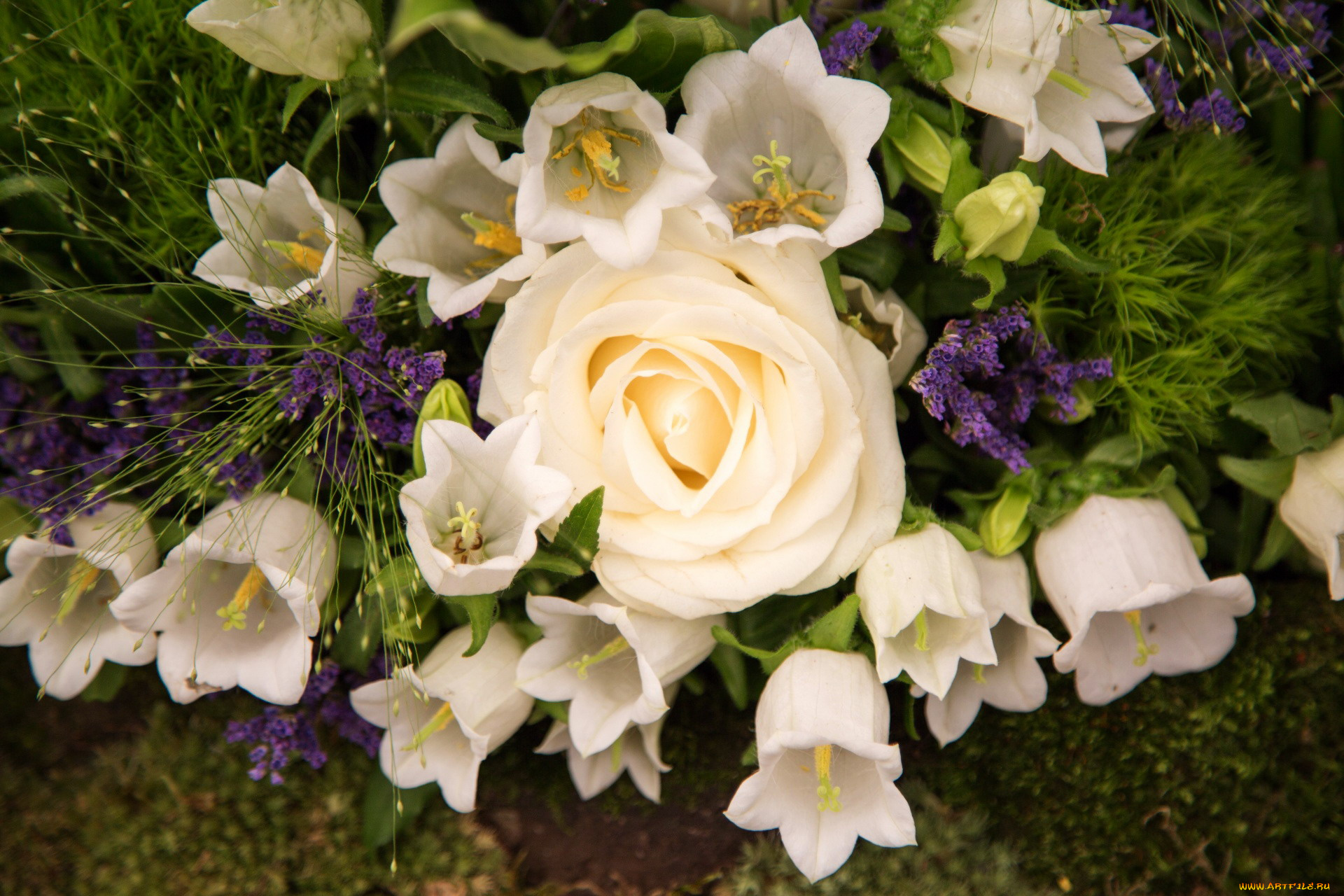 цветы, разные, вместе, роза, колокольчики, белый