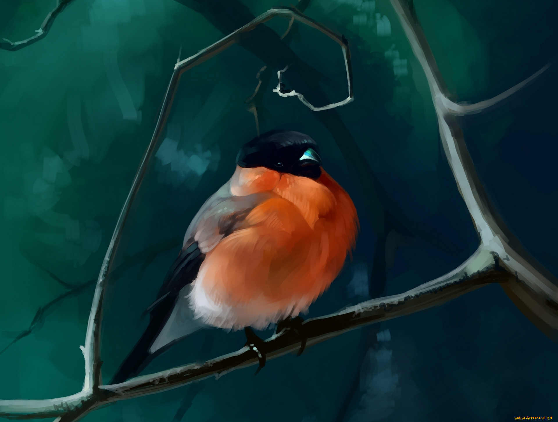 рисованное, животные, , птицы, ветки, снегирь