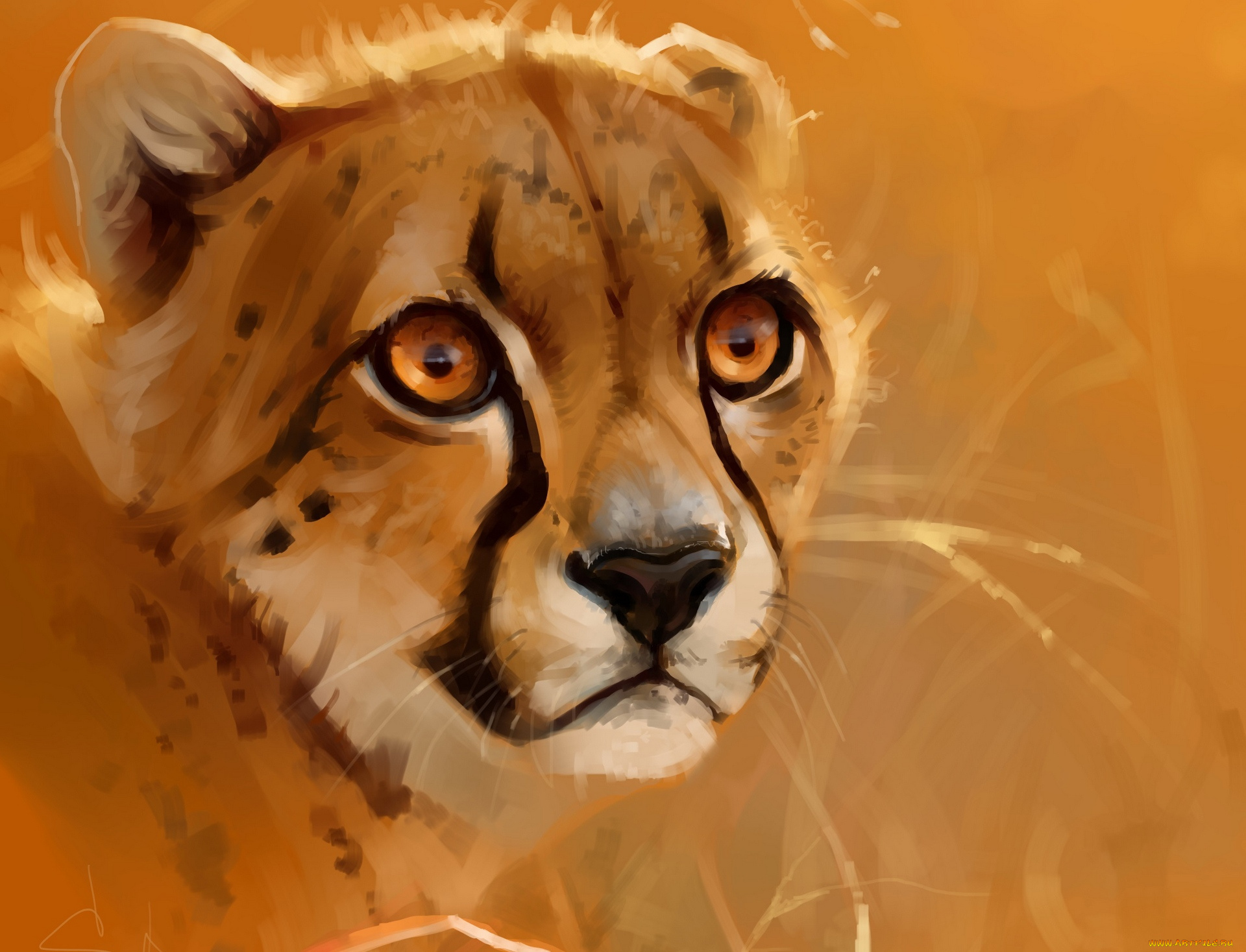 рисованное, животные, голова