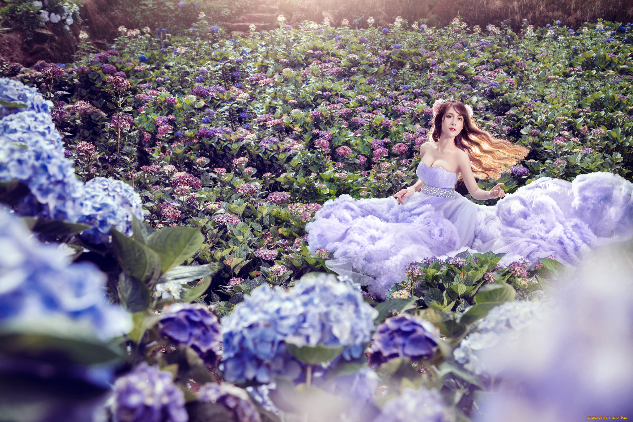 девушки, -unsort, , азиатки, цветы, азиатка, девушка, гортензия