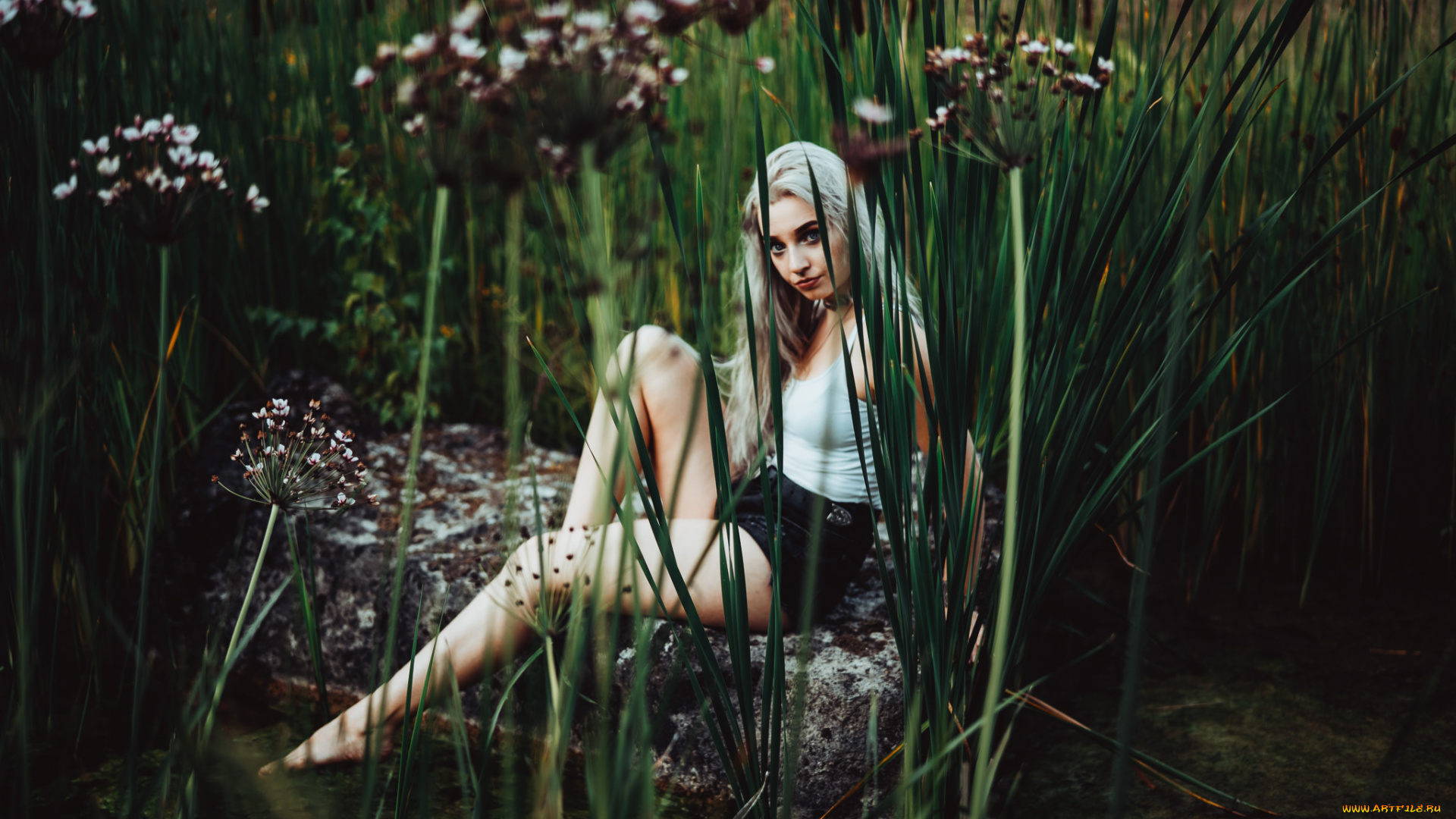 девушка, девушки, -unsort, , блондинки, , светловолосые, модель