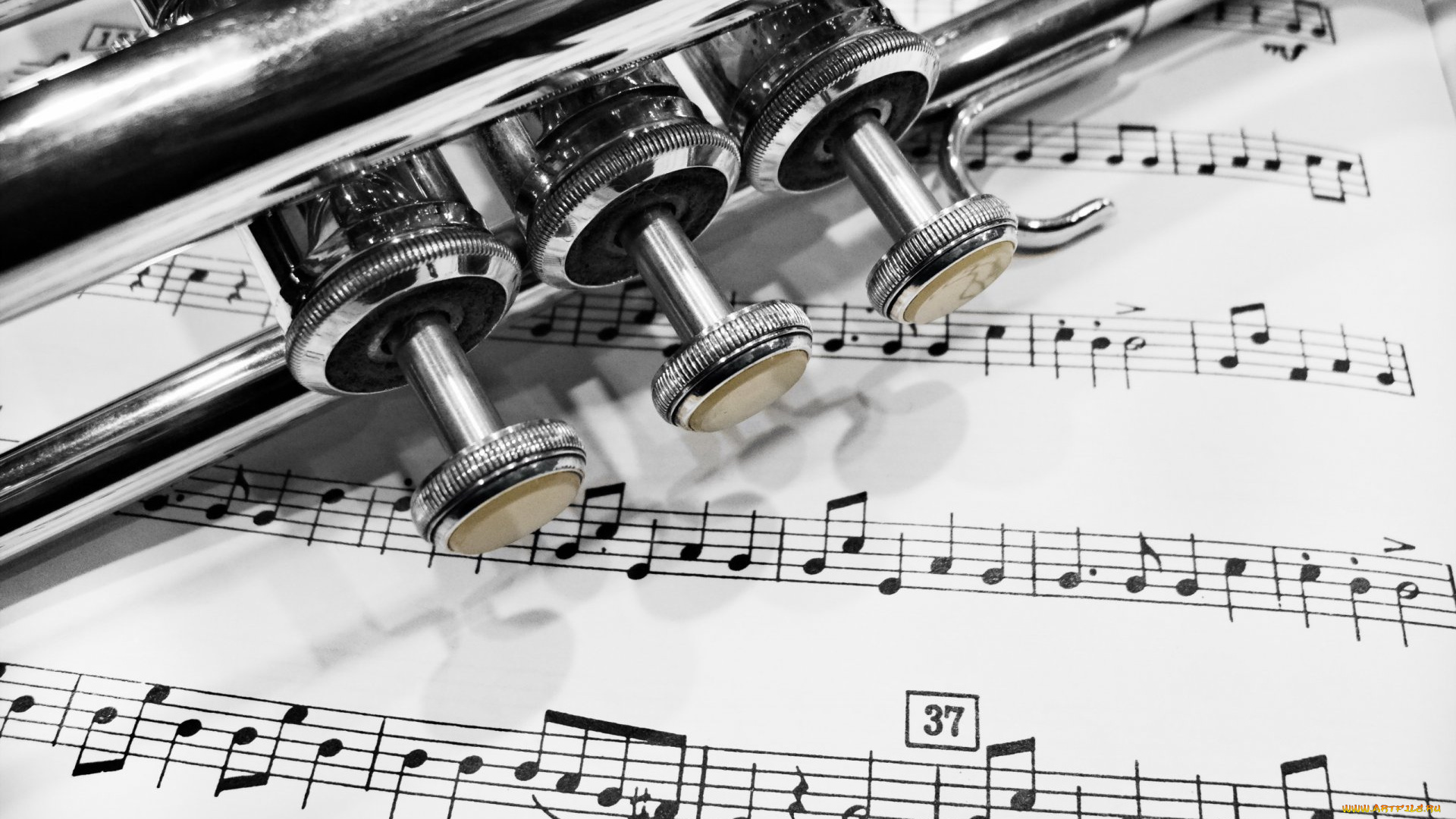 музыка, -музыкальные, инструменты, труба, ноты