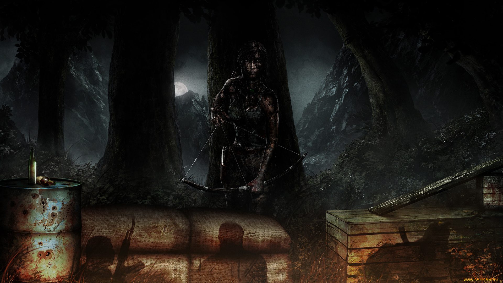 видео, игры, tomb, raider, , other, фон, девушка, лук, тень