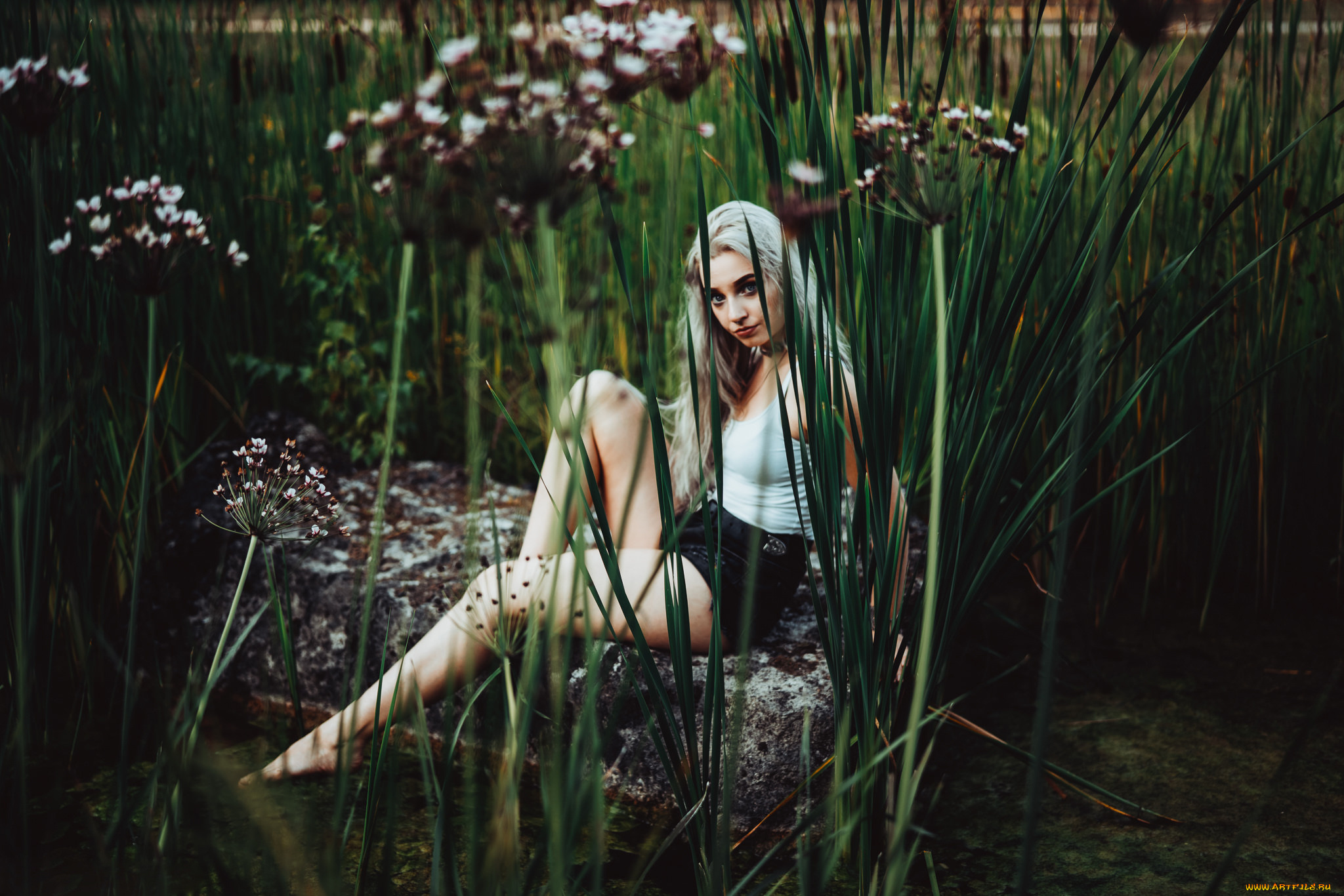 девушка, девушки, -unsort, , блондинки, , светловолосые, модель