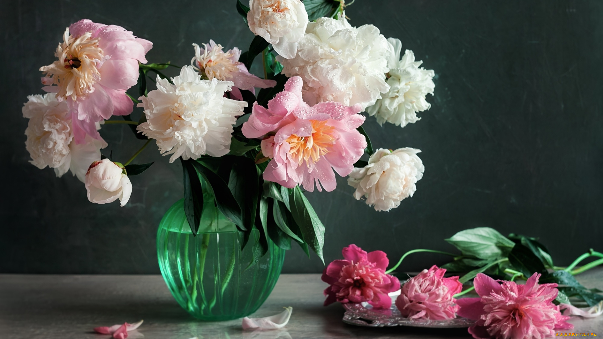 цветы, пионы, букет, лепестки