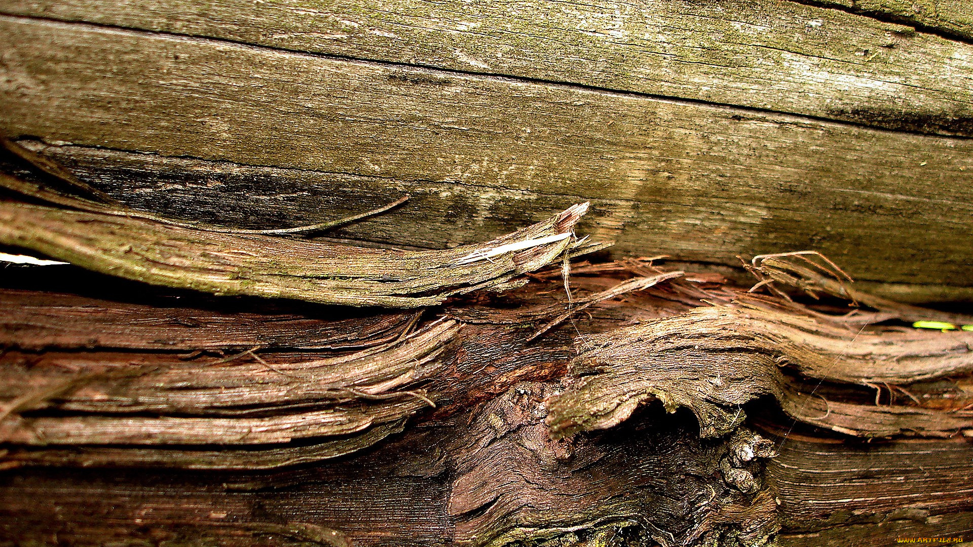 разное, текстуры, доски, щепки