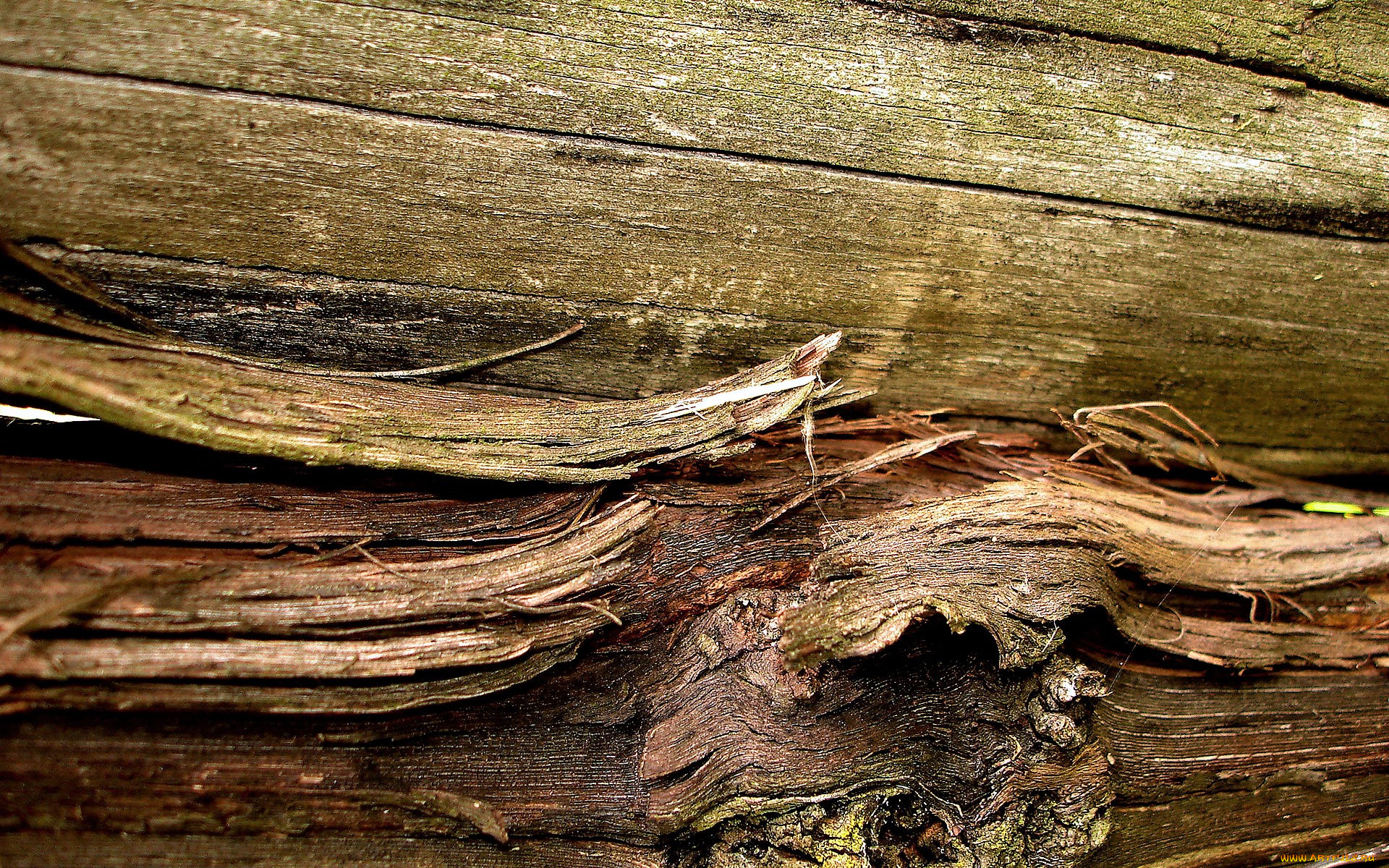 разное, текстуры, доски, щепки