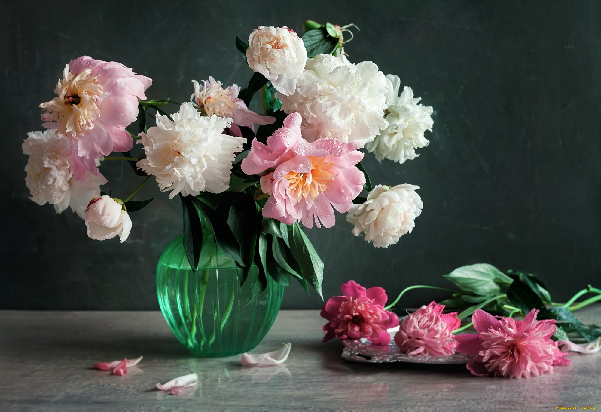 цветы, пионы, букет, лепестки