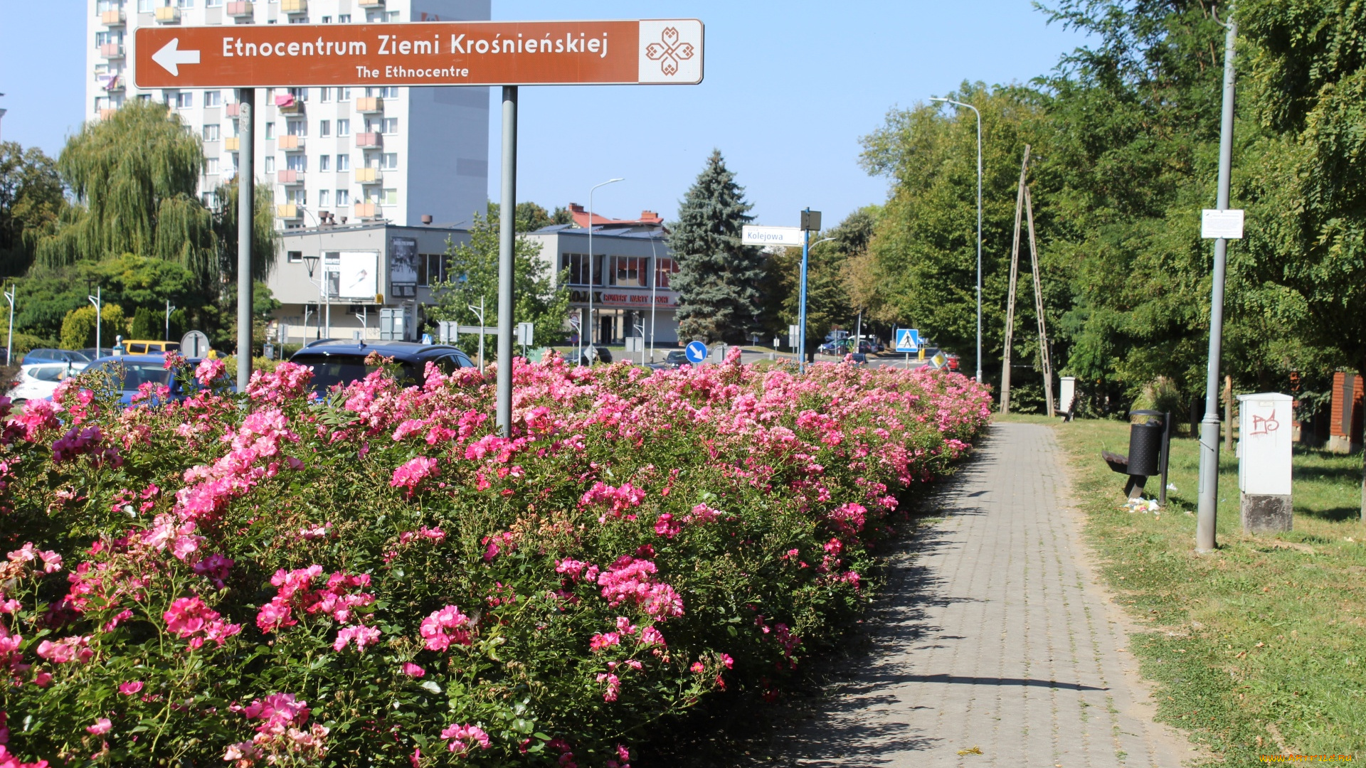 krosno, podkarpackie, voivodeship, poland, города, -, улицы, , площади, , набережные, podkarpackie, voivodeship