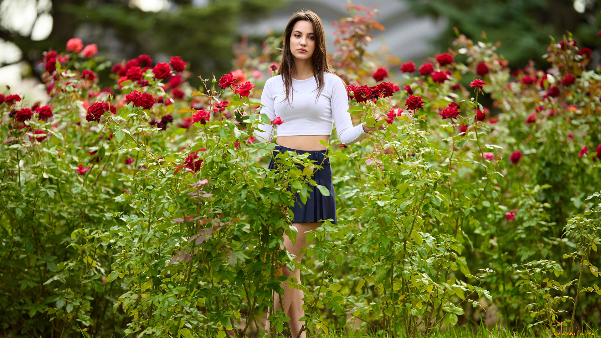 сексуальная, девушка, девушки, -, брюнетки, , шатенки, девушка, женщина, шатенка, темноволосая, сексуальная, модель, звезда, позирует, разная, обувь, верхняя, стильная, одежда, нижнее, эротическое, бельё, трусы, лифчик, колготки, чулки, аксессуары, макияж, и, множество, элементов, на, фотографии