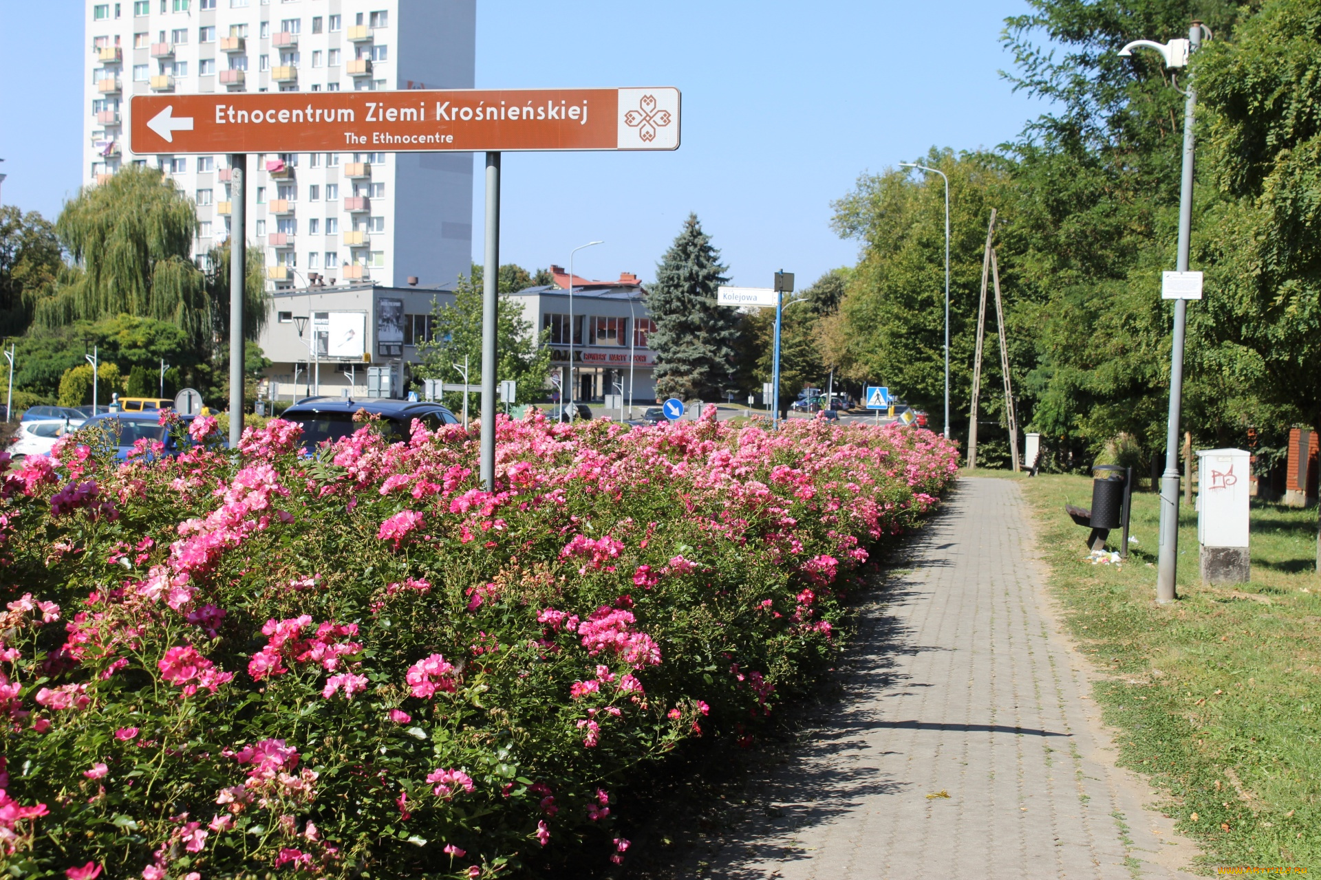 krosno, podkarpackie, voivodeship, poland, города, -, улицы, , площади, , набережные, podkarpackie, voivodeship