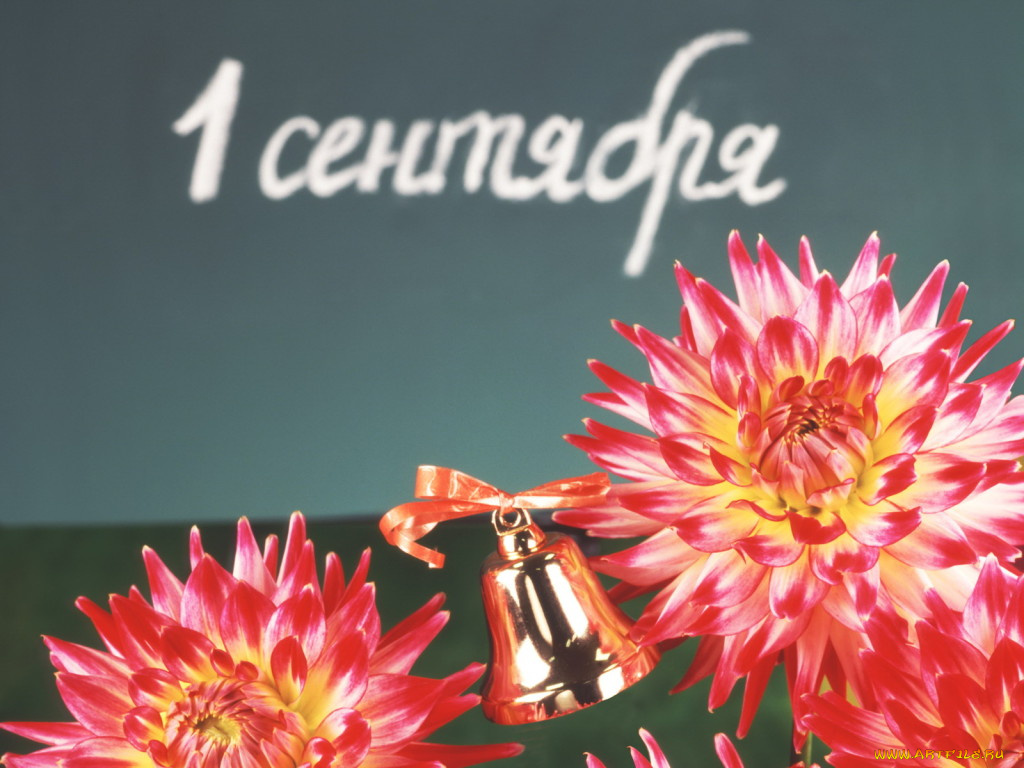 праздничные, день, знаний