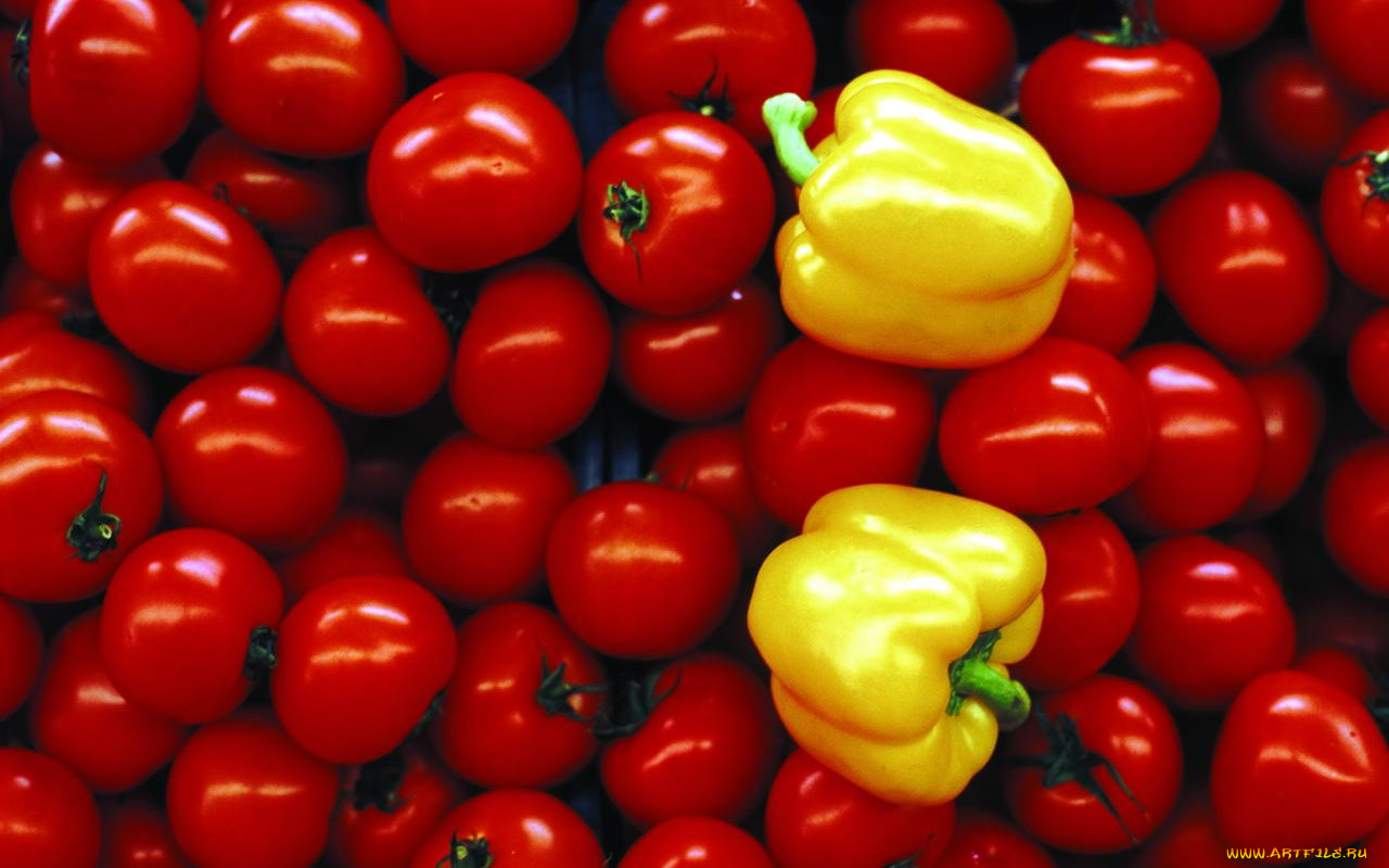 еда, овощи, перец, томаты, помидоры