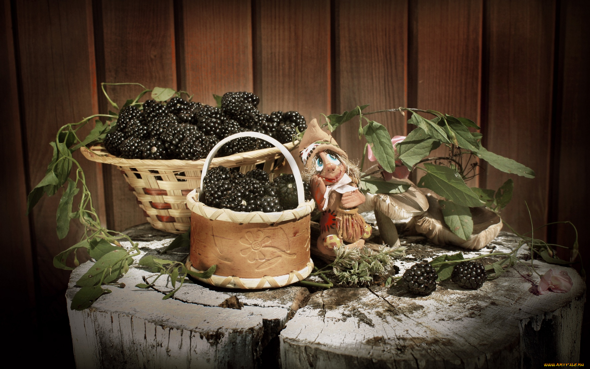 еда, ежевика