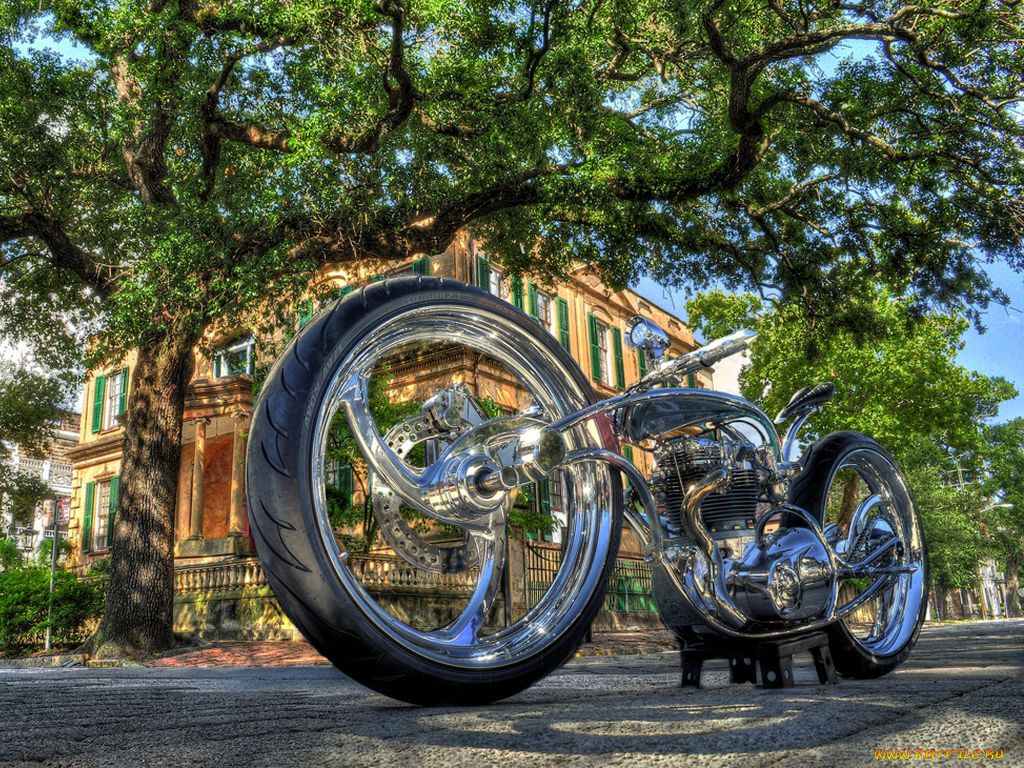 мотоциклы, customs