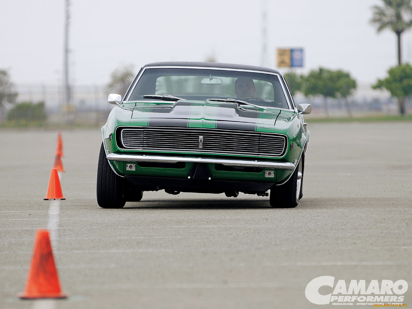 автомобили, camaro