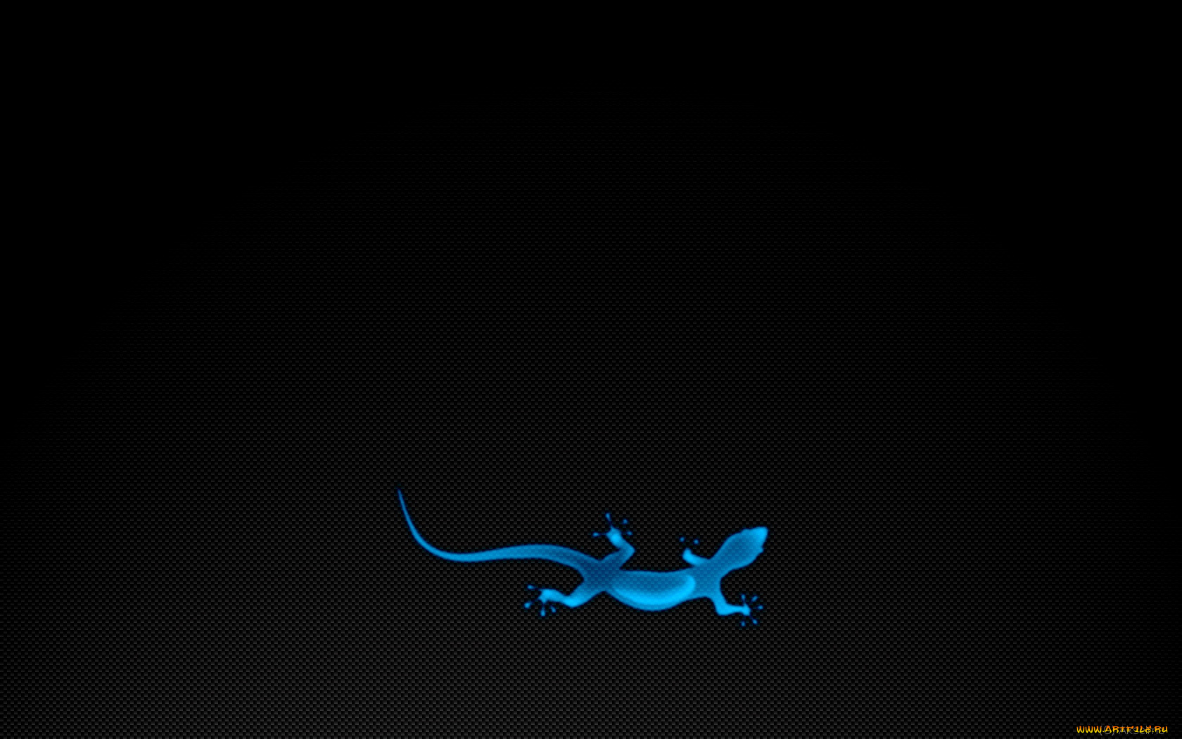 3д, графика, animals, животные, тёмный, сетка, ящерица