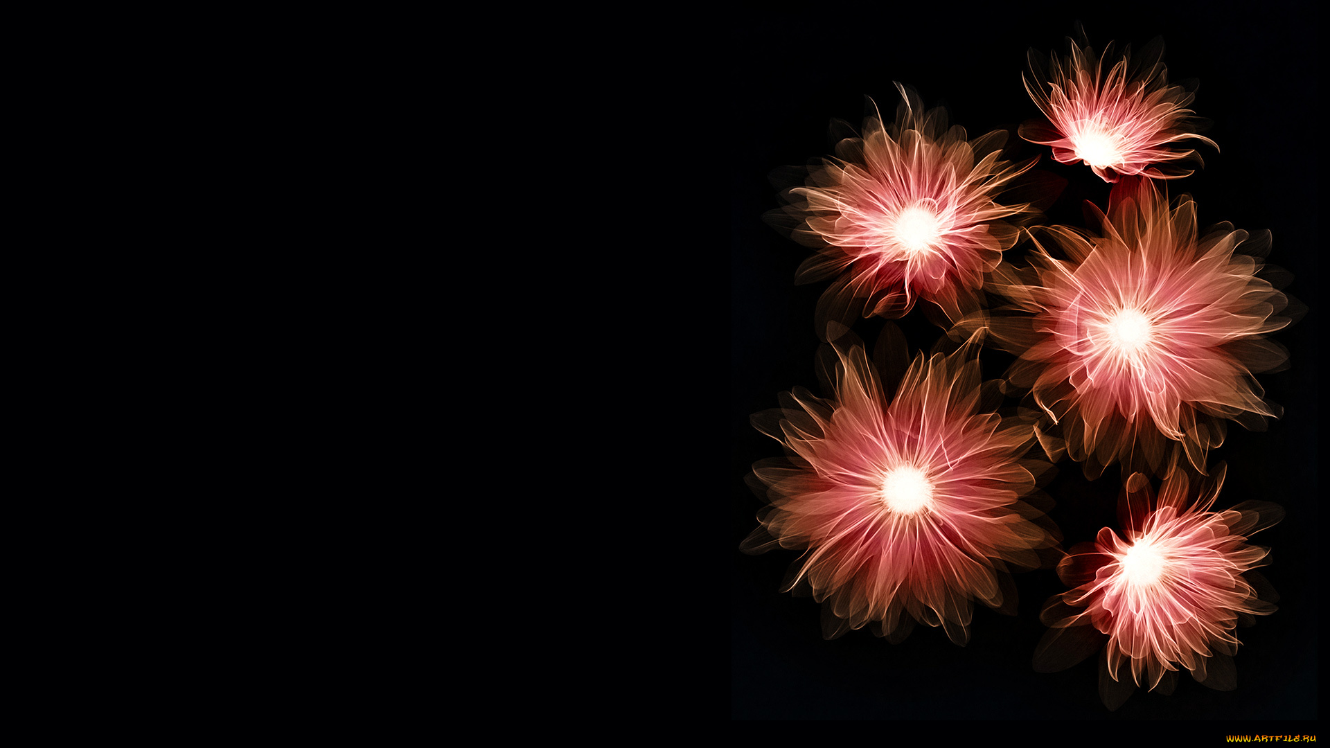 3д, графика, flowers, цветы, фон, тёмный