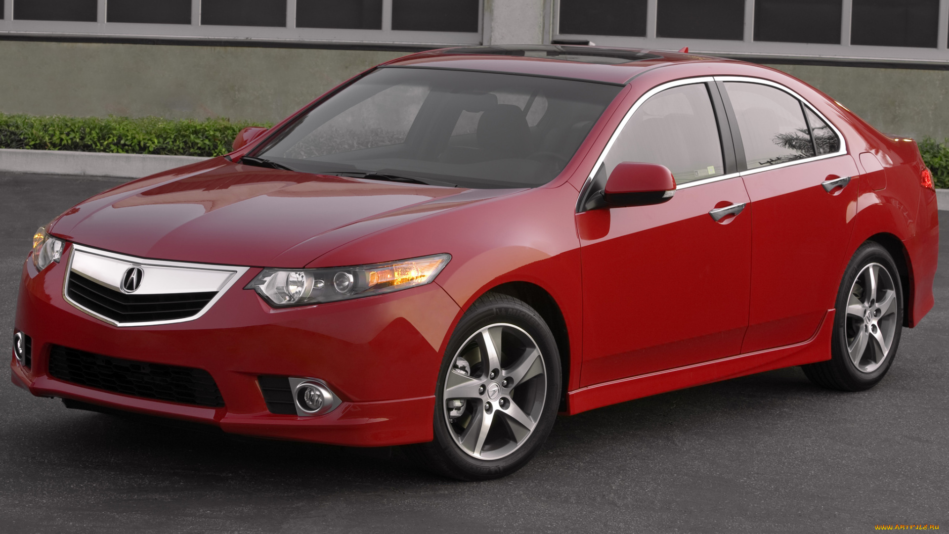 acura, tsx, special, edition, автомобили