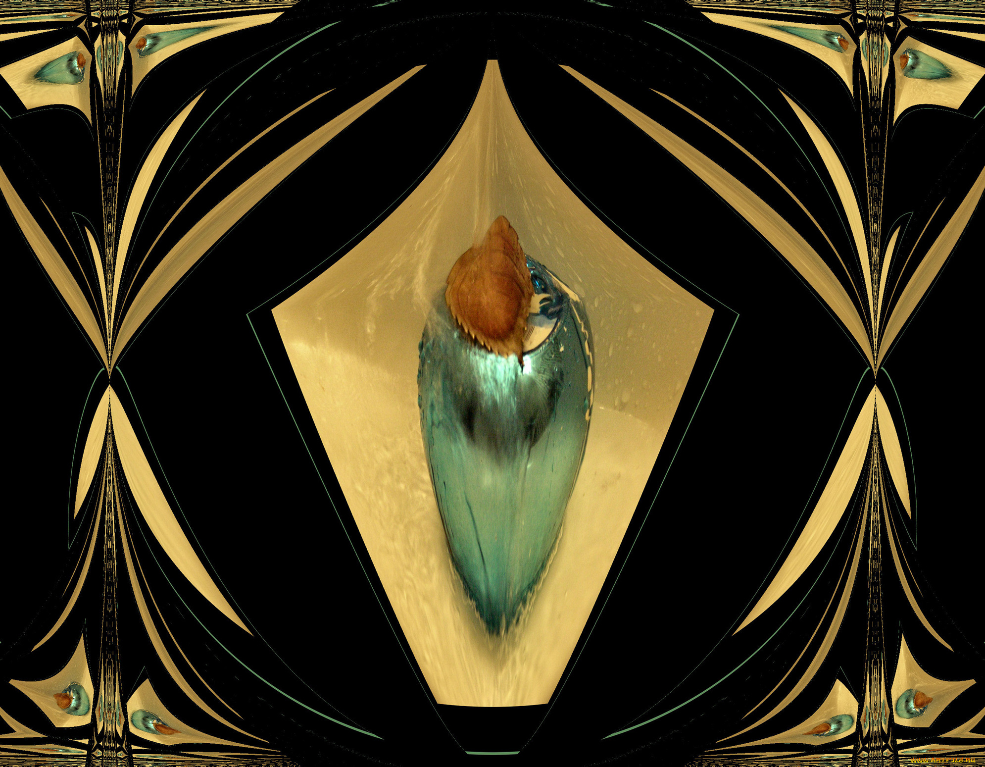 3д, графика, fractal, фракталы, абстракция, узор