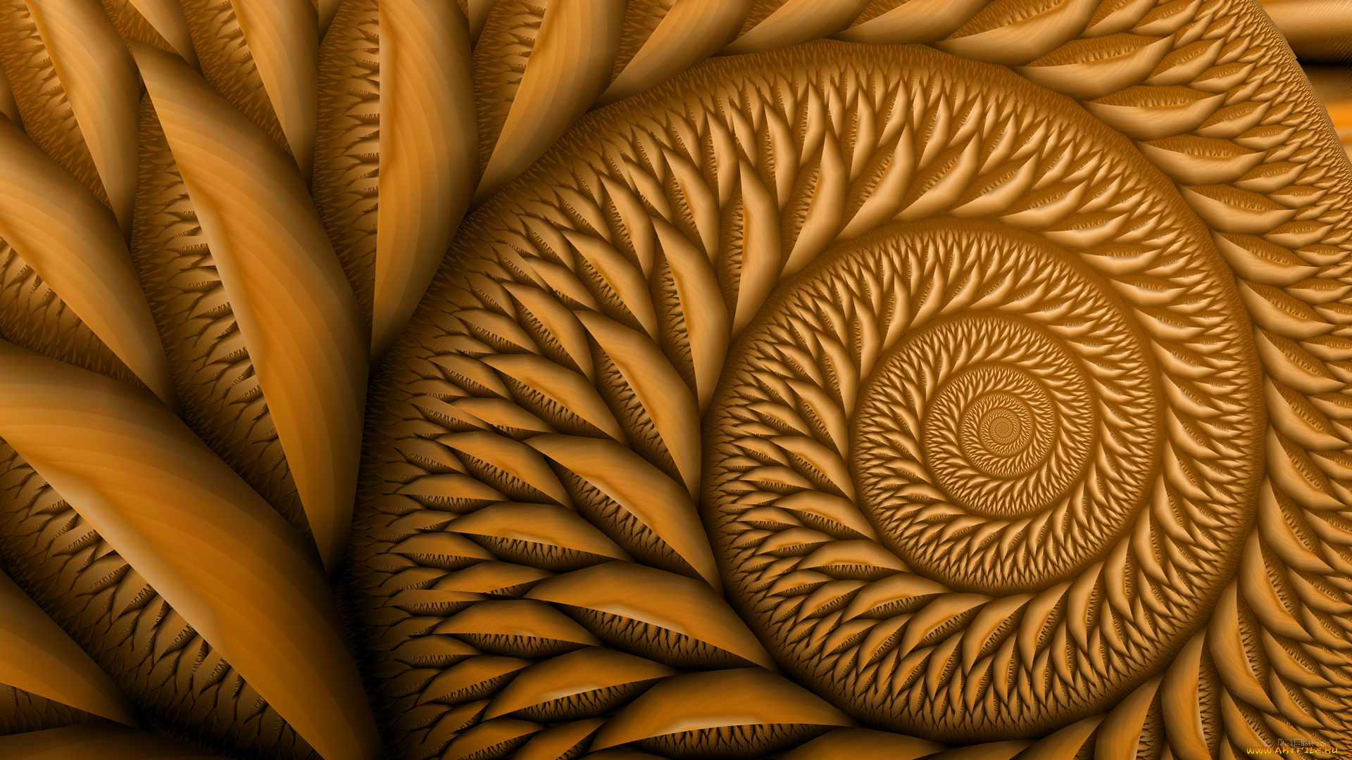 3д, графика, fractal, фракталы, узор, цвета, фон