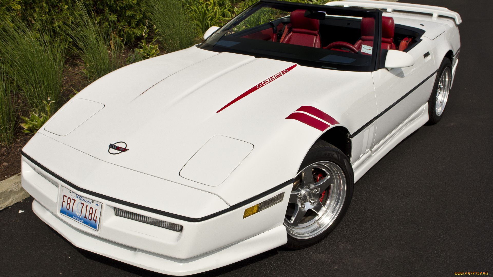 автомобили, corvette, vette