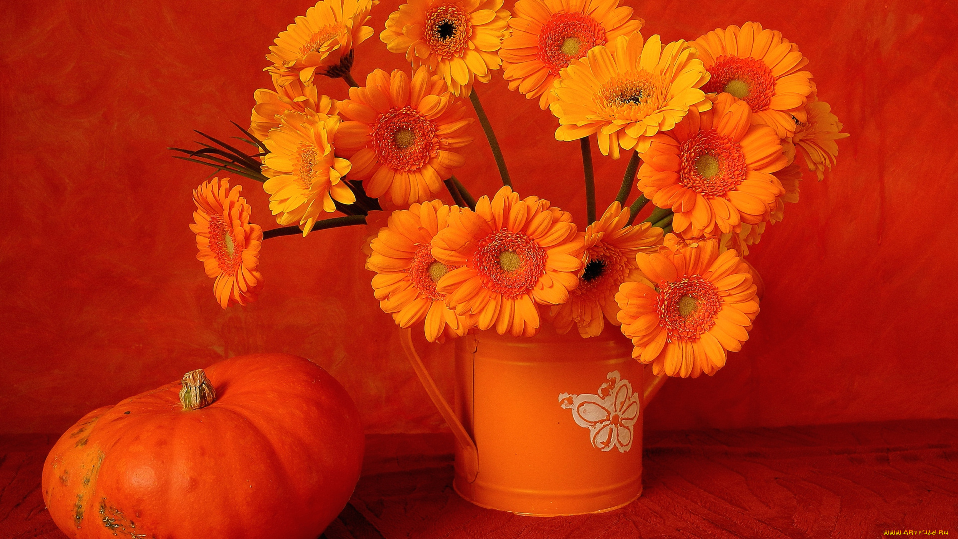цветы, герберы, оранжевый, тыква