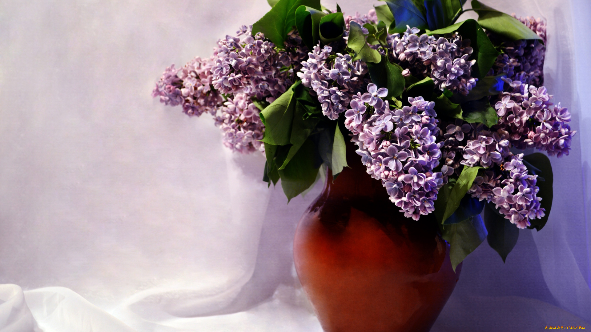 цветы, сирень, букет