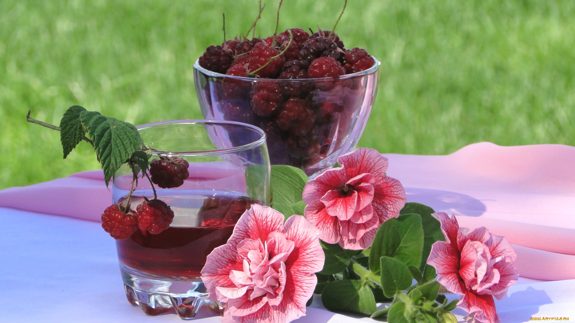 еда, малина, сок, ягоды, петуния