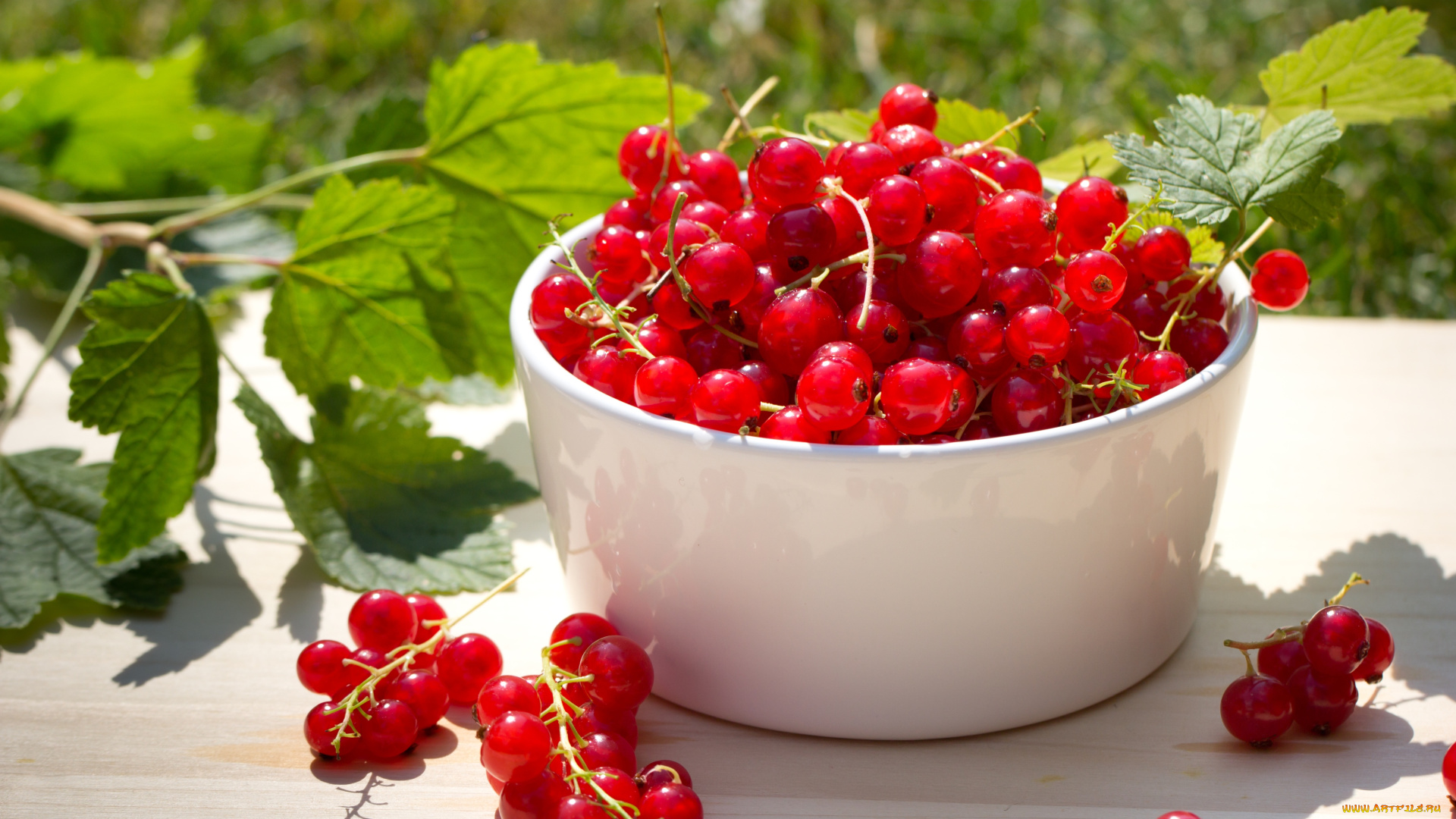 еда, смородина, красная