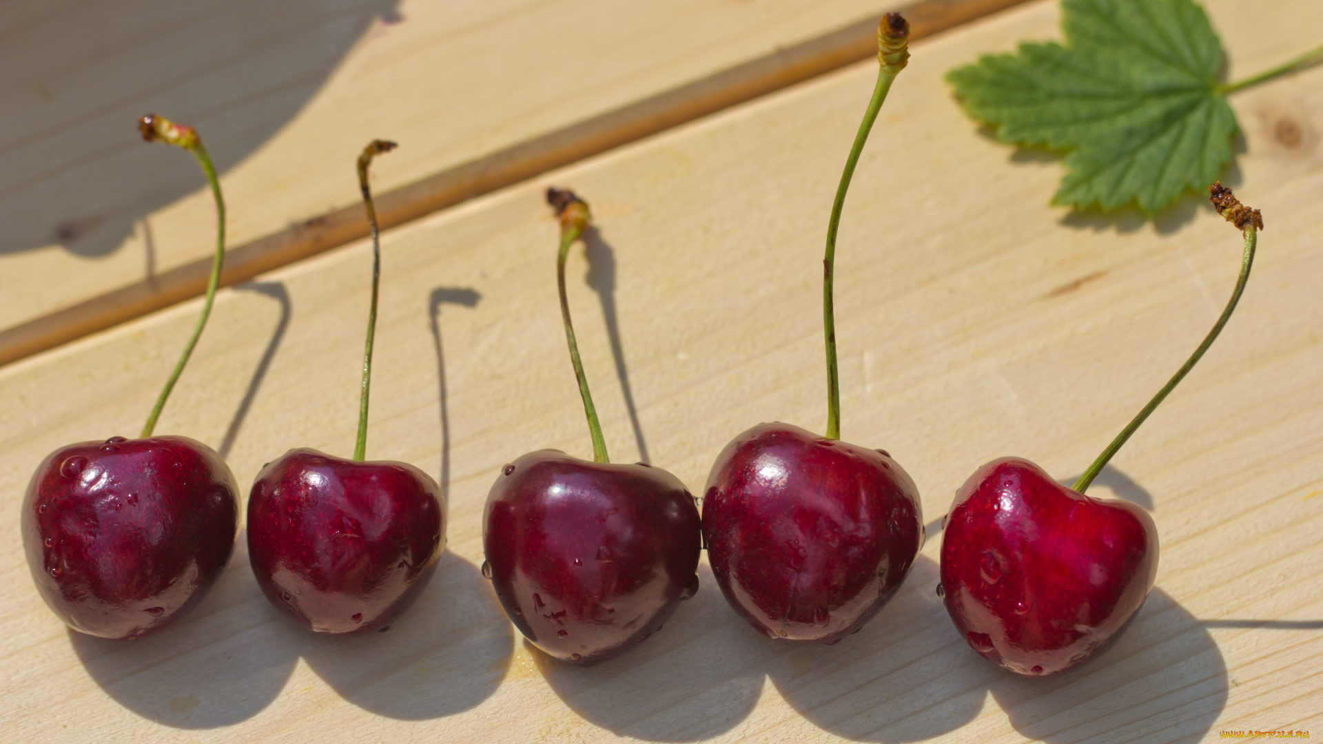 еда, вишня, черешня, вишенки