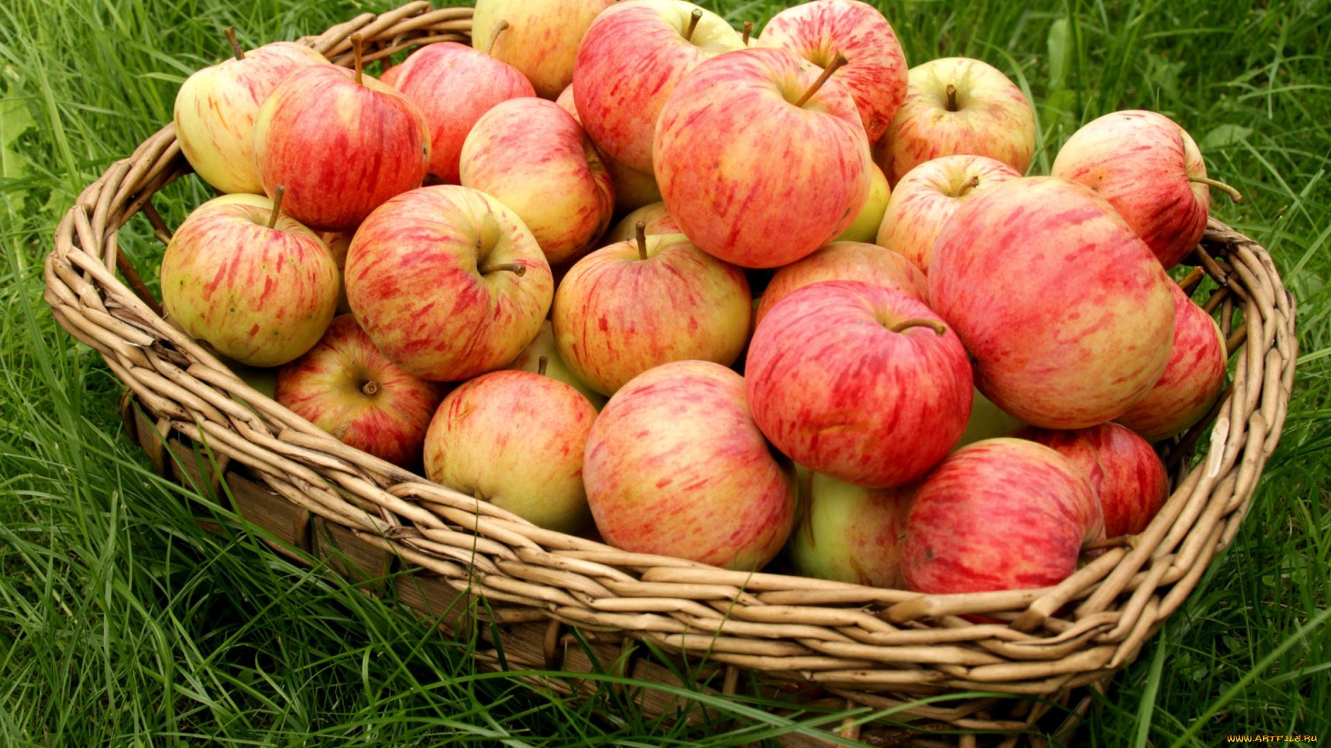 еда, Яблоки, корзина, плоды