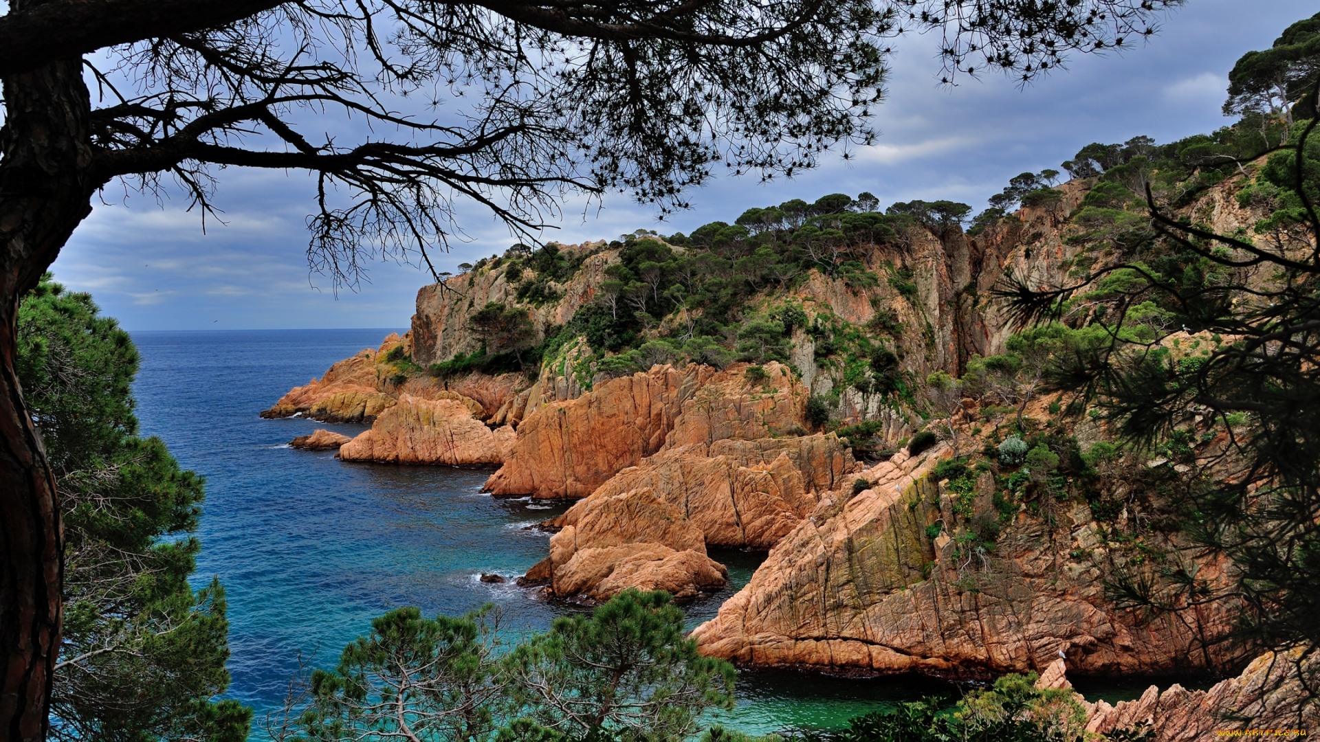 коста, брава, испания, природа, побережье, деревья, море, камни