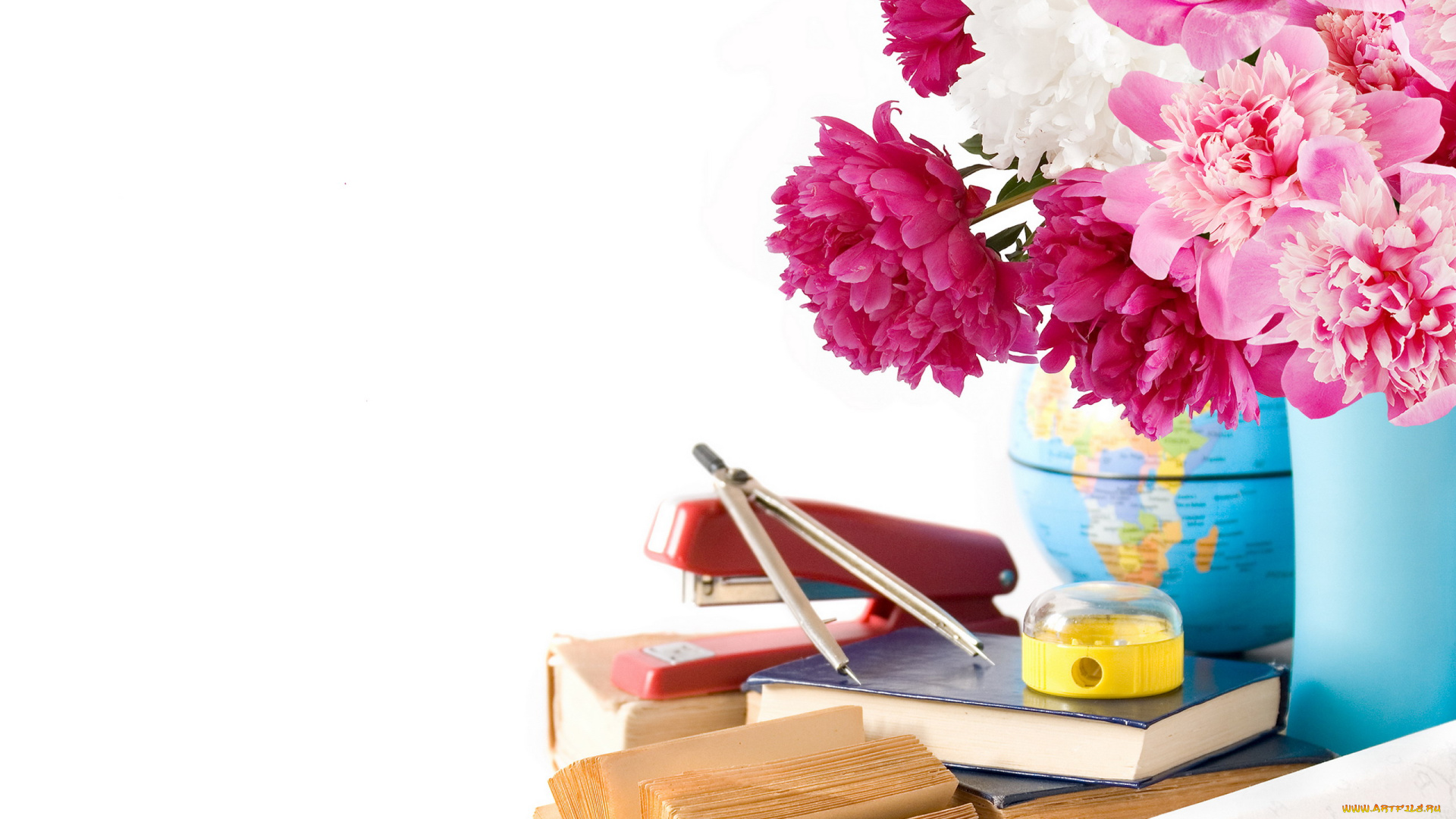 праздничные, день, знаний, букет, книги, глобус, точилка, пионы, циркуль