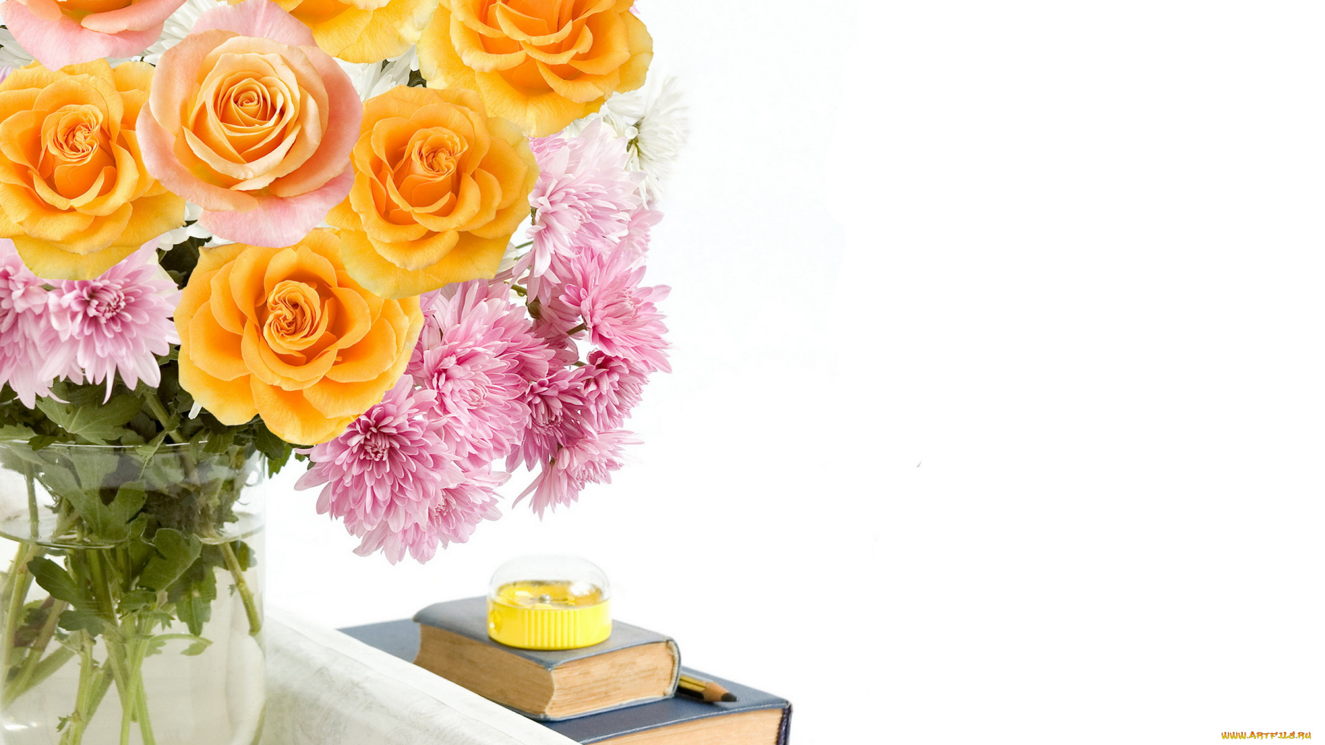 праздничные, день, знаний, хризантемы, розы, карандаш, книги, точилка