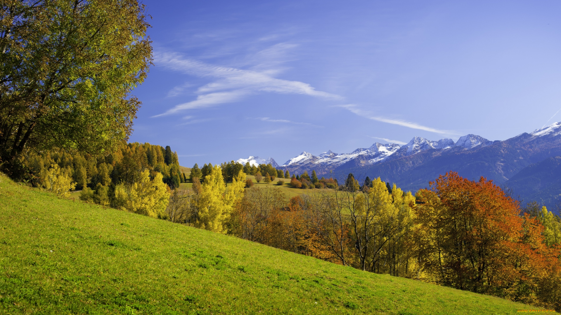 природа, пейзажи, горы, деревья